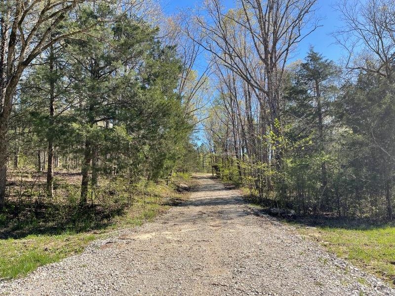 18851 Highway 90 W  Ravenden Springs, AR