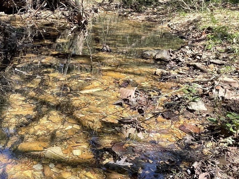 18851 Highway 90 W  Ravenden Springs, AR