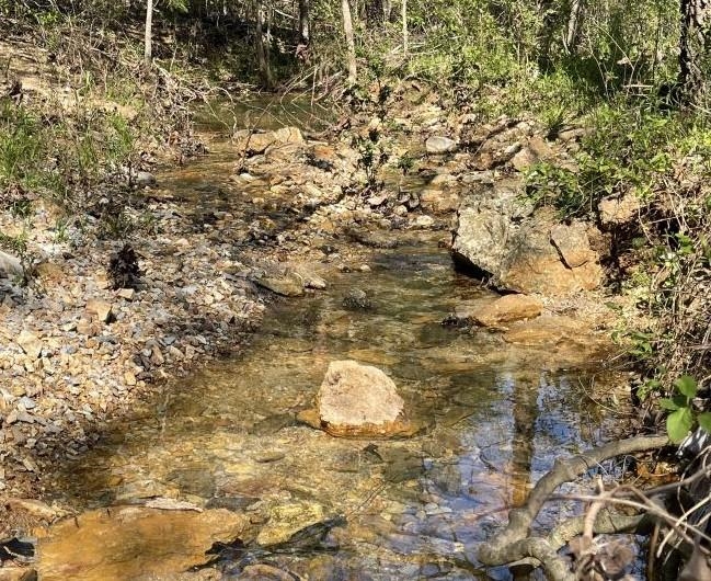 18851 Highway 90 W  Ravenden Springs, AR