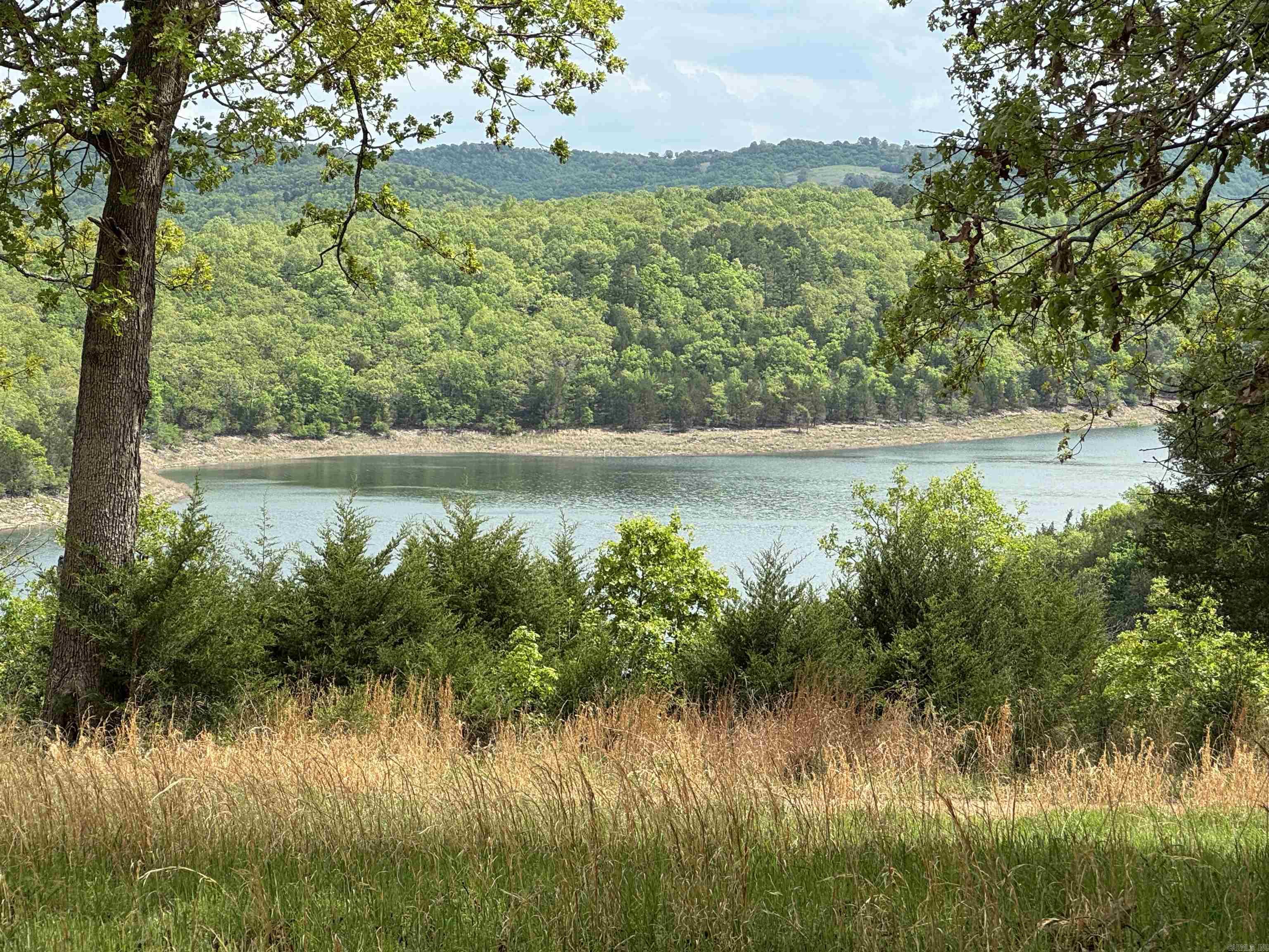 884 Lakehill Lane Peel, AR 72668