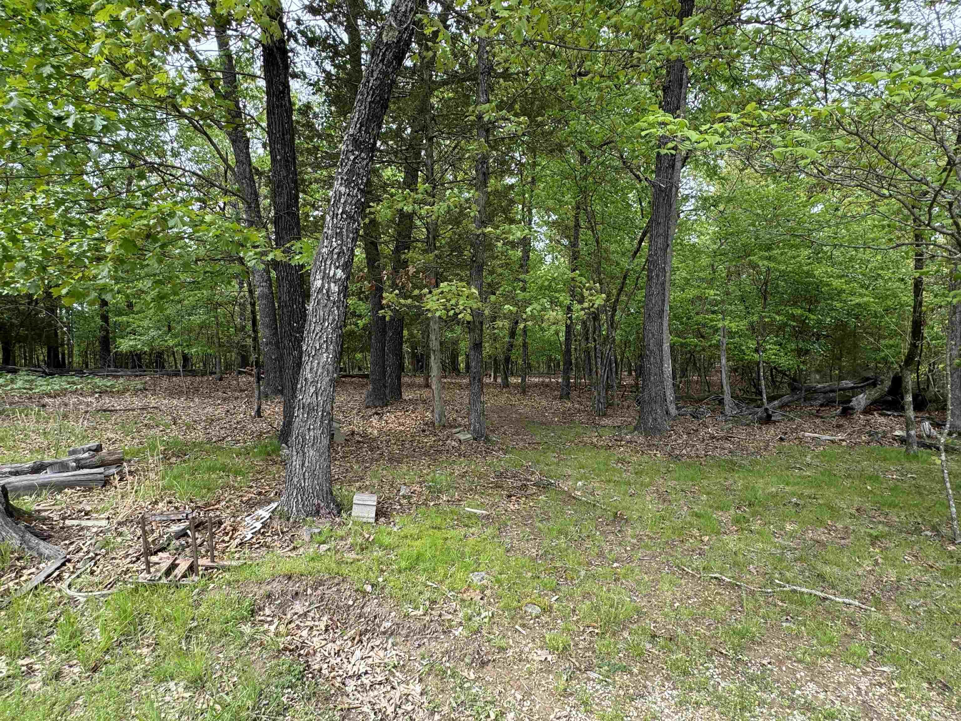 884 Lakehill Lane Peel, AR 72668