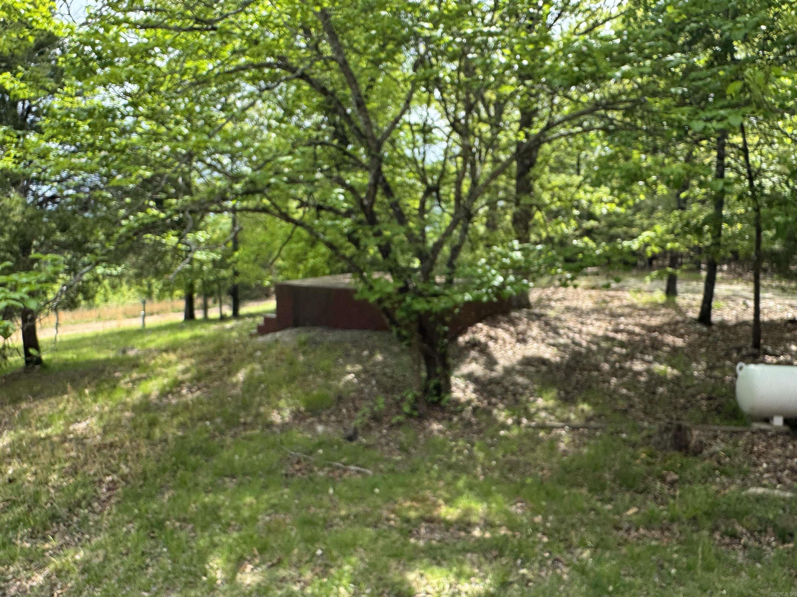 884 Lakehill Lane Peel, AR 72668