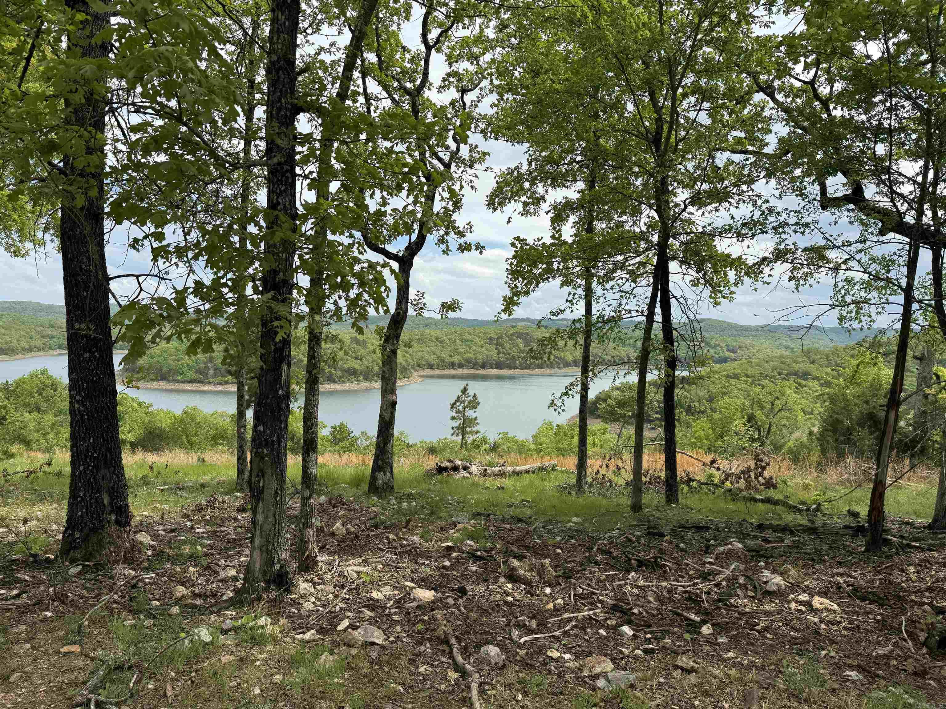 884 Lakehill Lane Peel, AR 72668