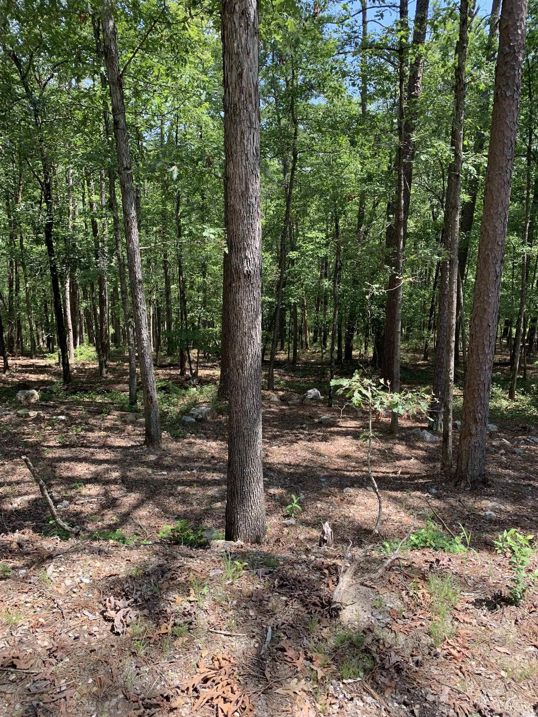 42 Gerante  Hot Springs Village, AR