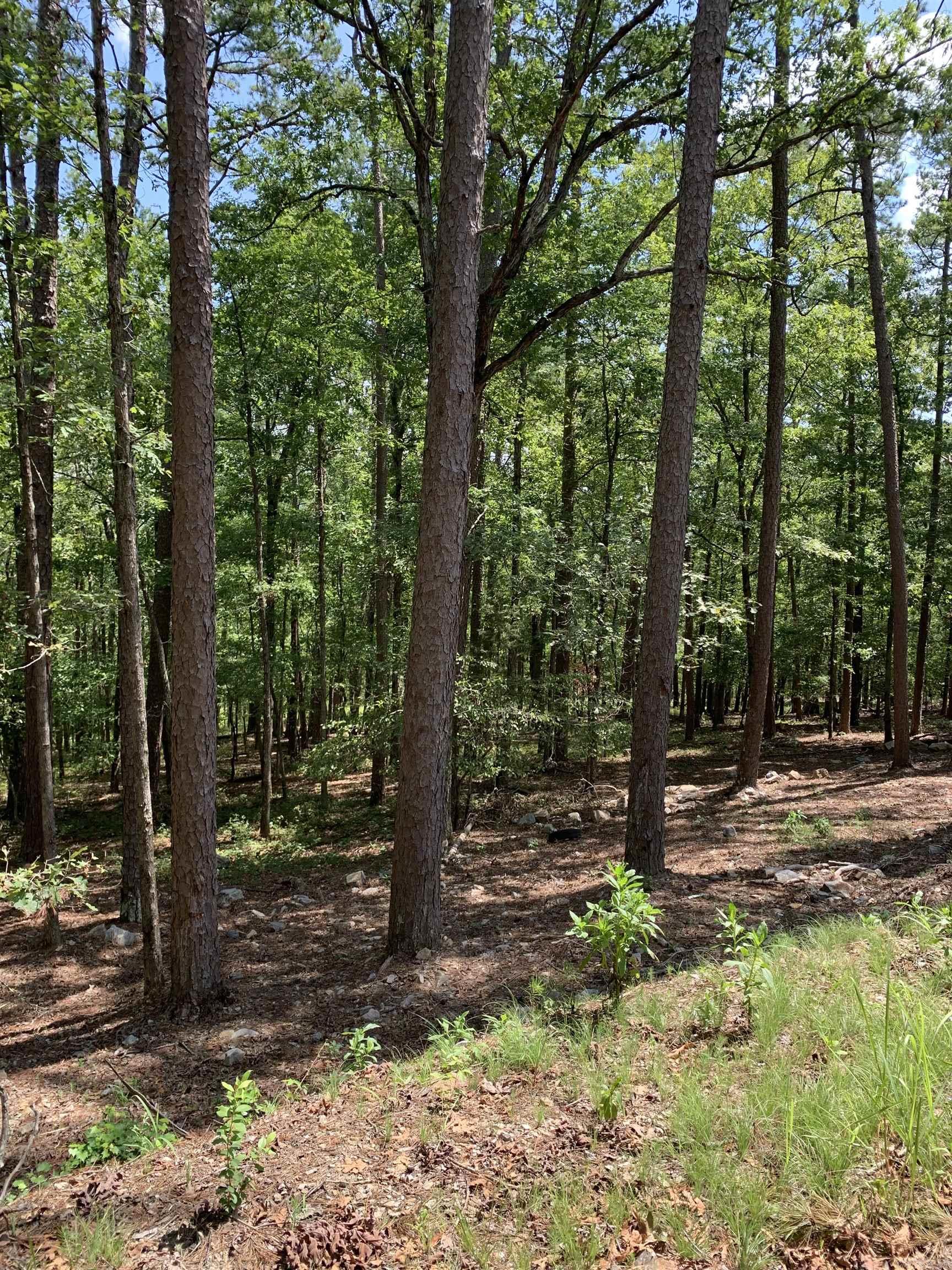 42 Gerante  Hot Springs Village, AR