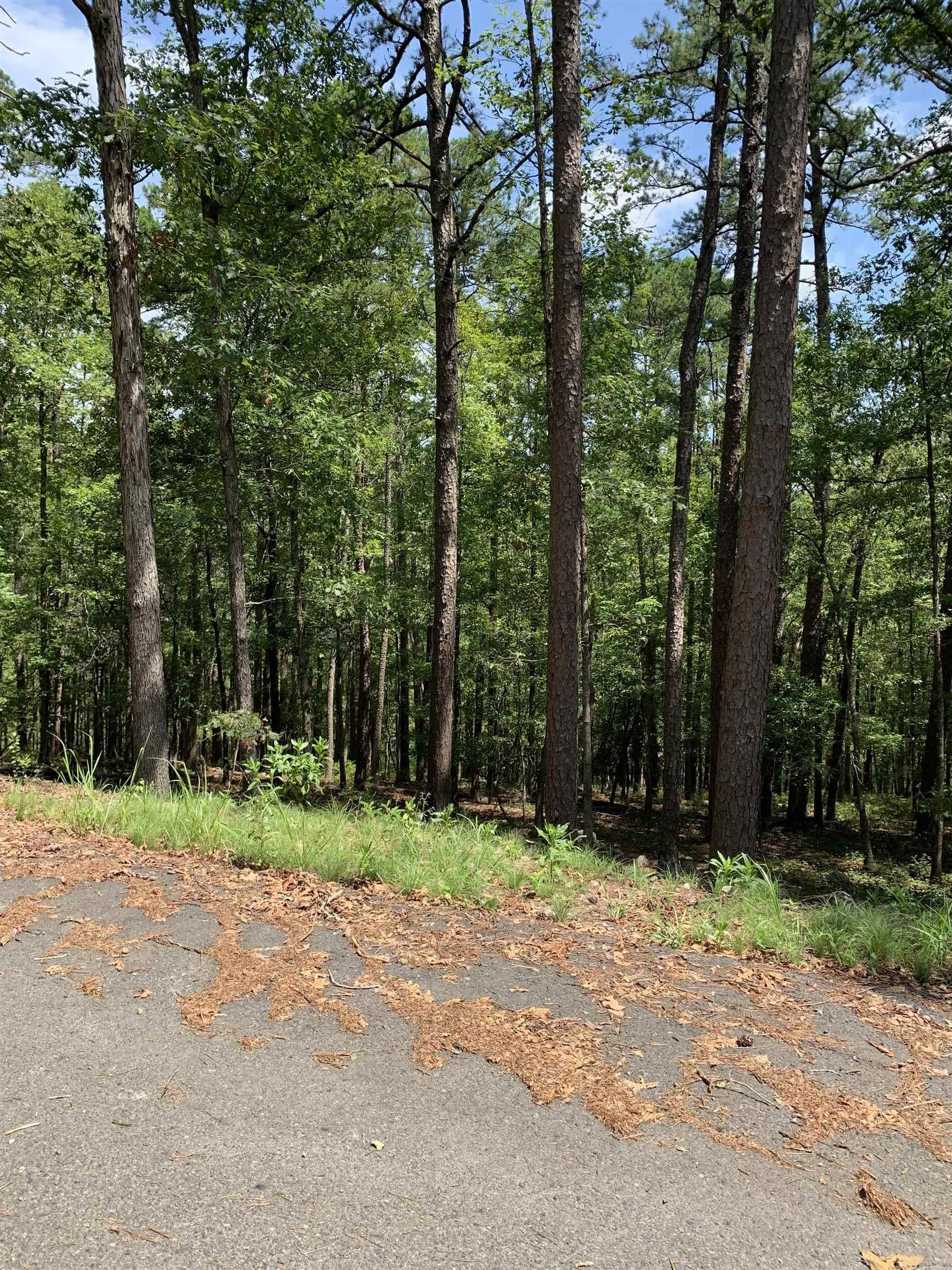 42 Gerante  Hot Springs Village, AR