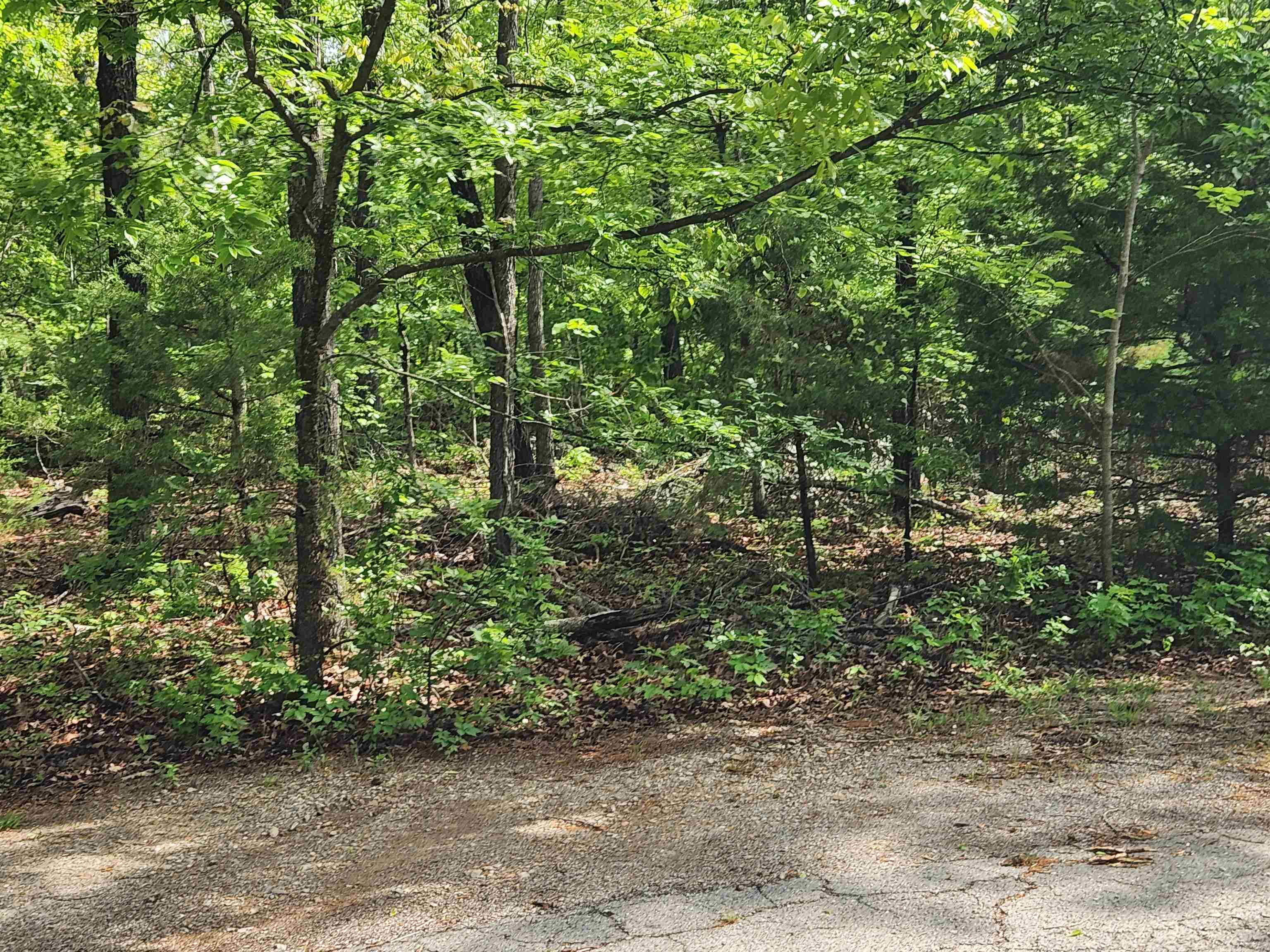  Paiute  Cherokee Village, AR