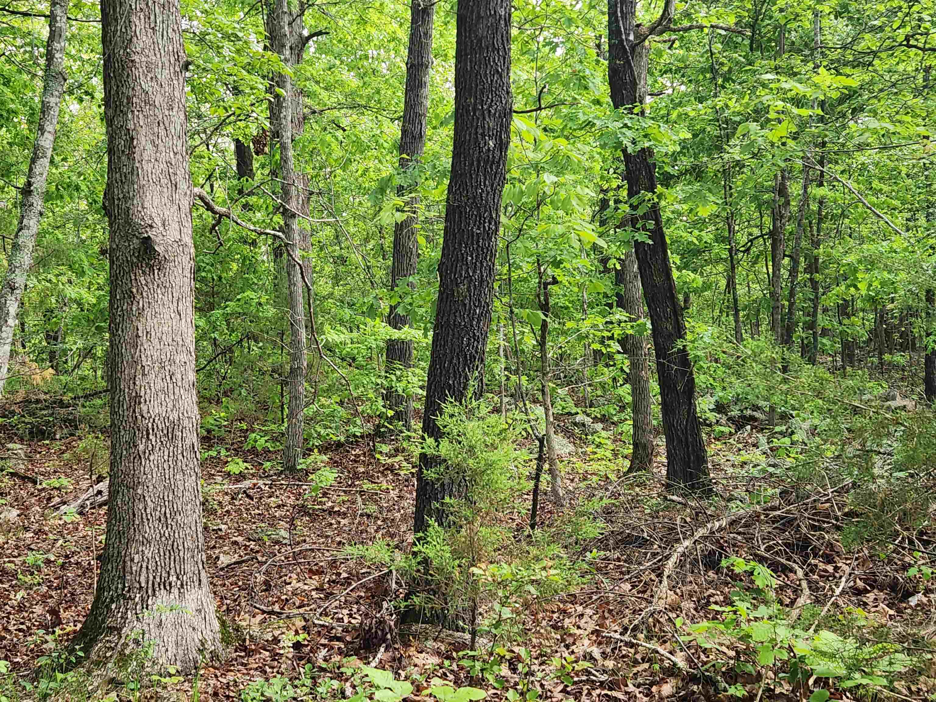  Paiute  Cherokee Village, AR