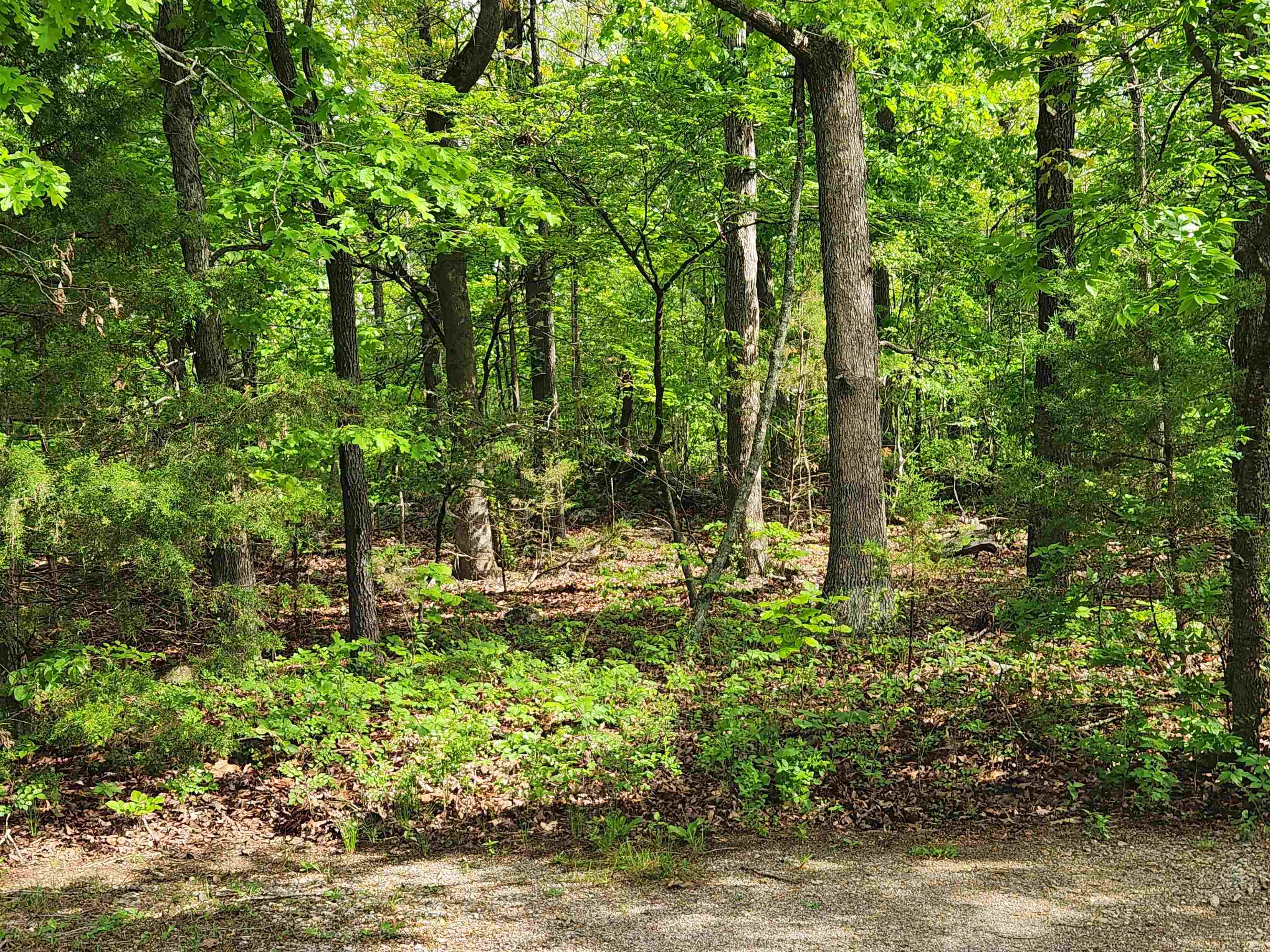  Paiute  Cherokee Village, AR