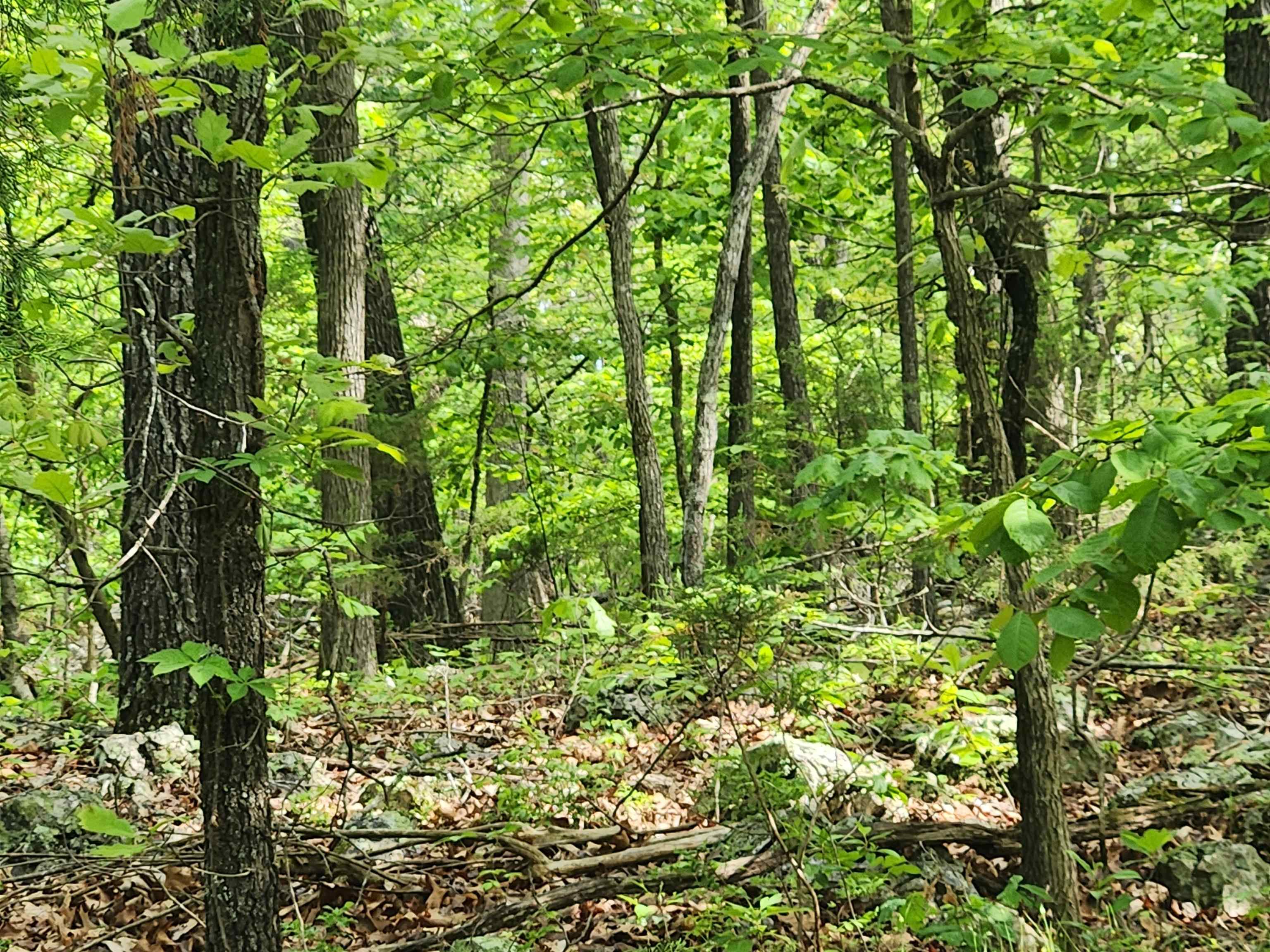  Paiute  Cherokee Village, AR