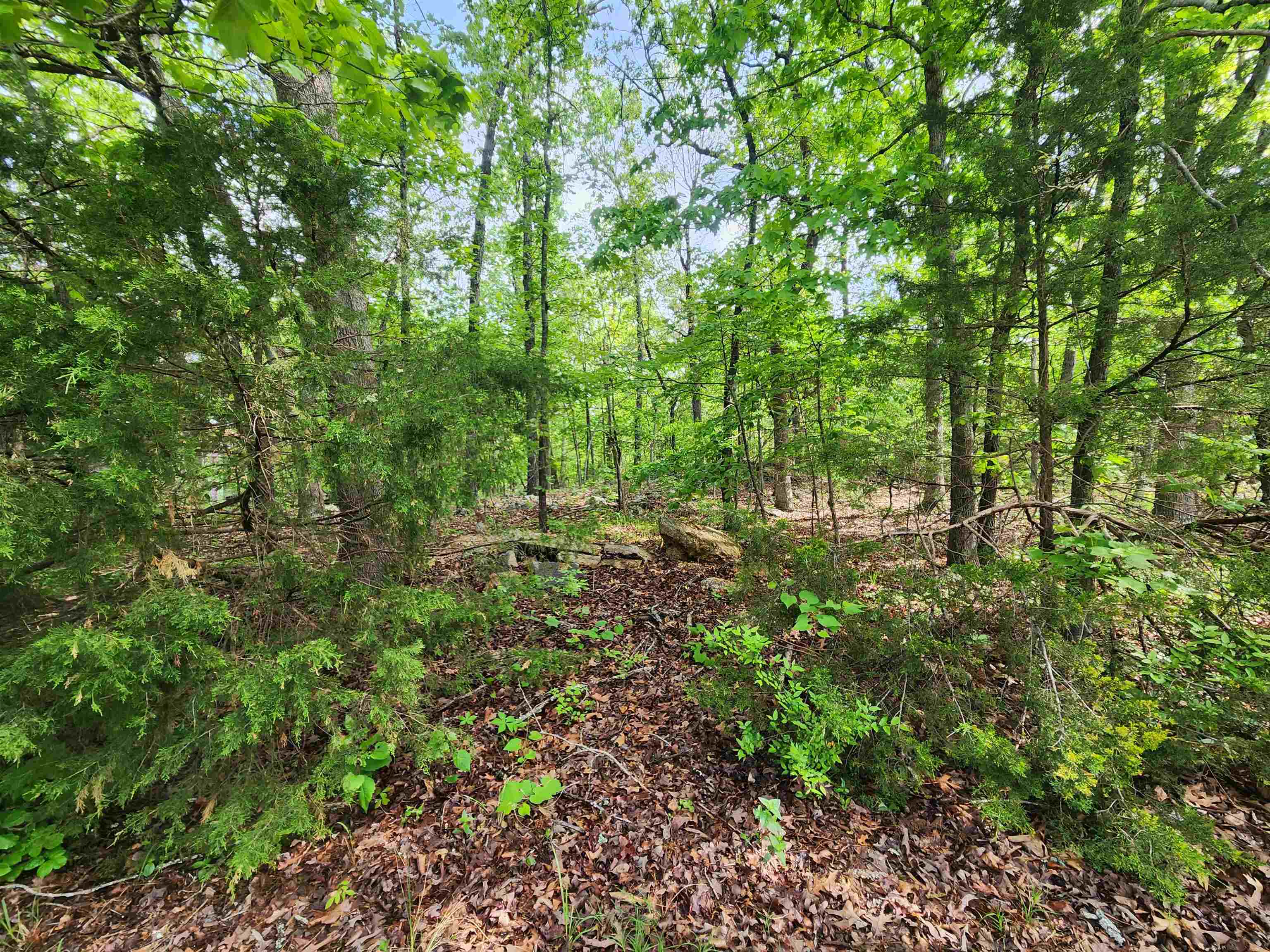  Paiute  Cherokee Village, AR