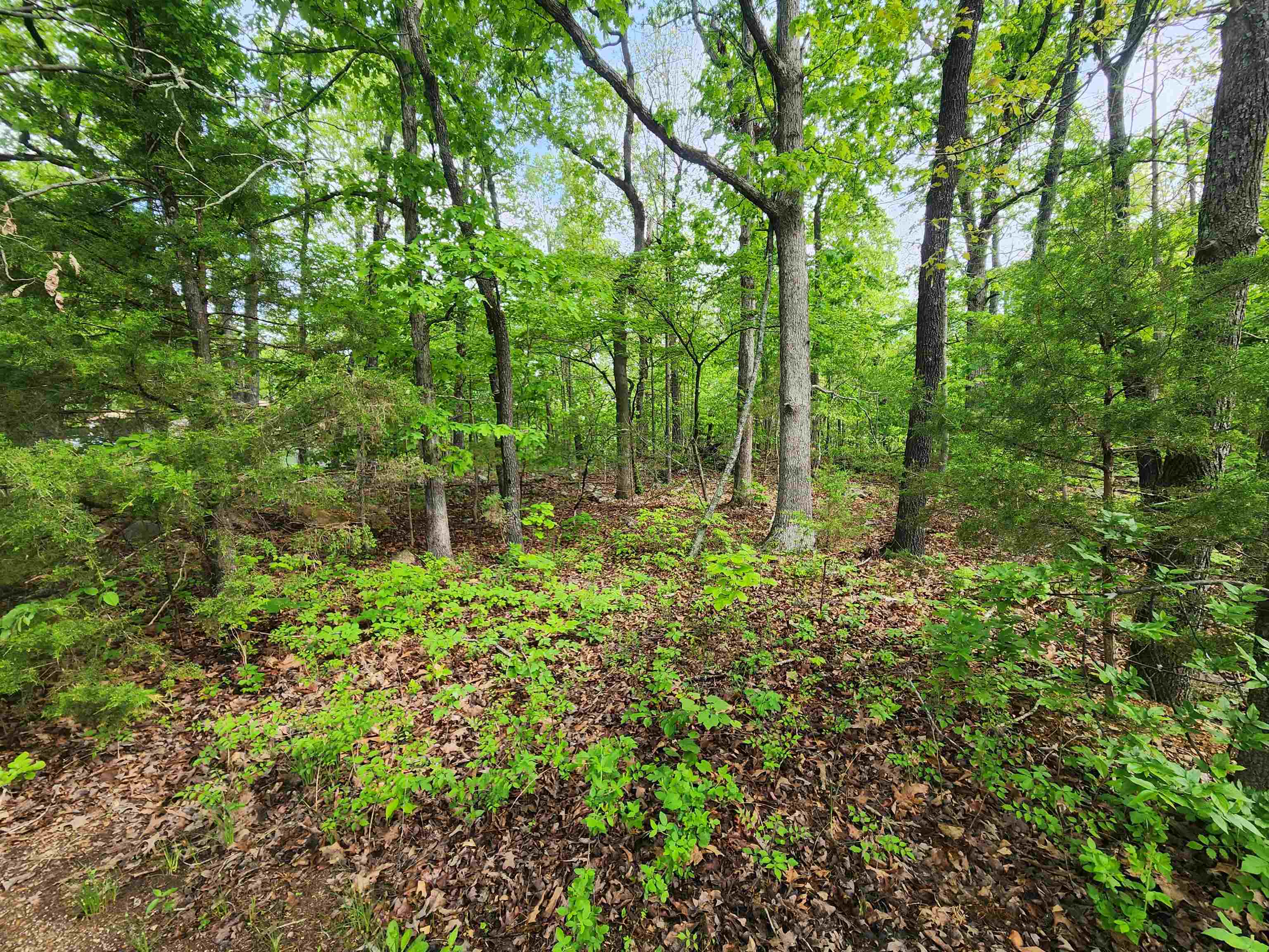  Paiute  Cherokee Village, AR