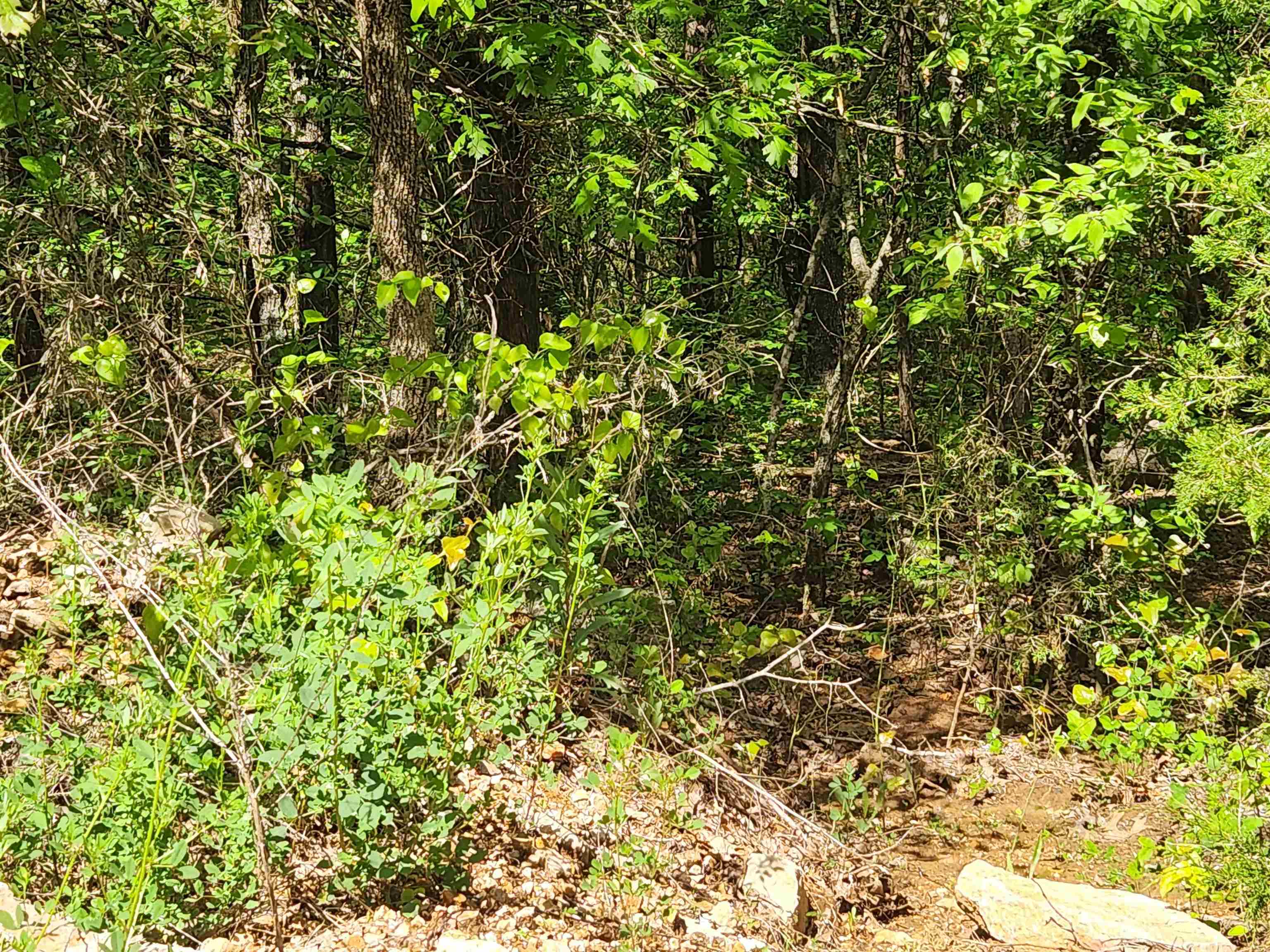  Strawberry Valley  Ash Flat, AR