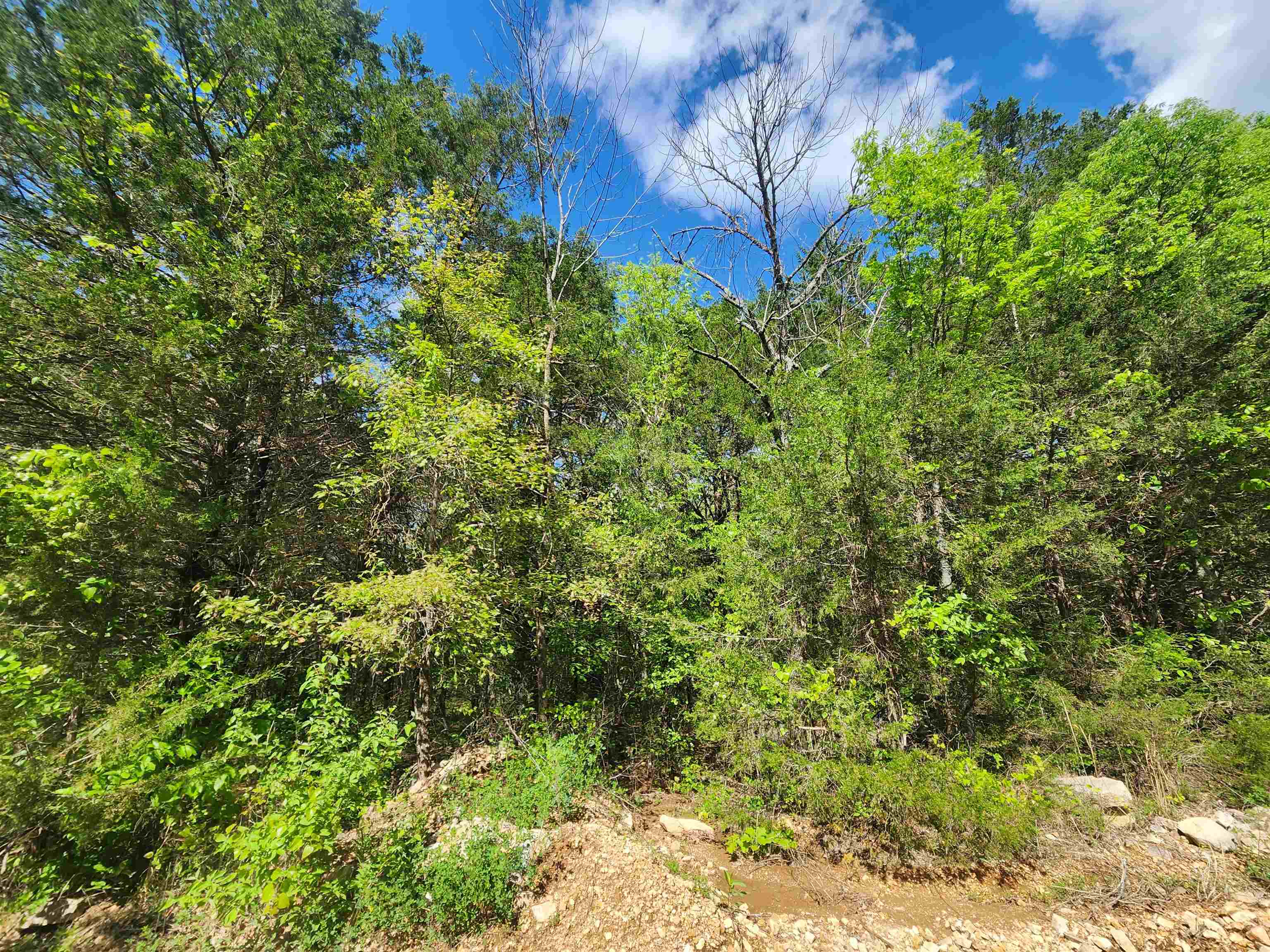  Strawberry Valley  Ash Flat, AR