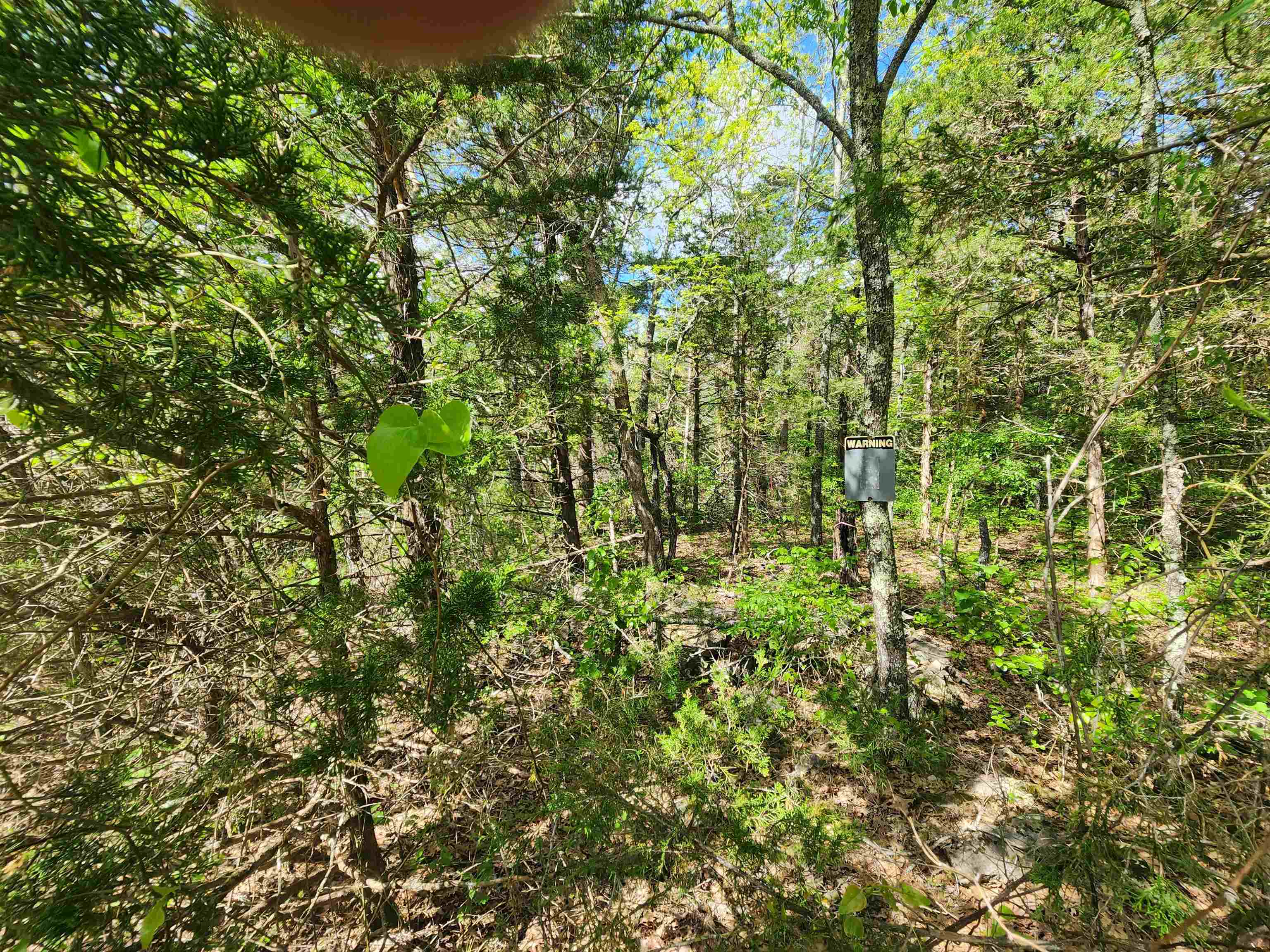  Strawberry Valley  Ash Flat, AR