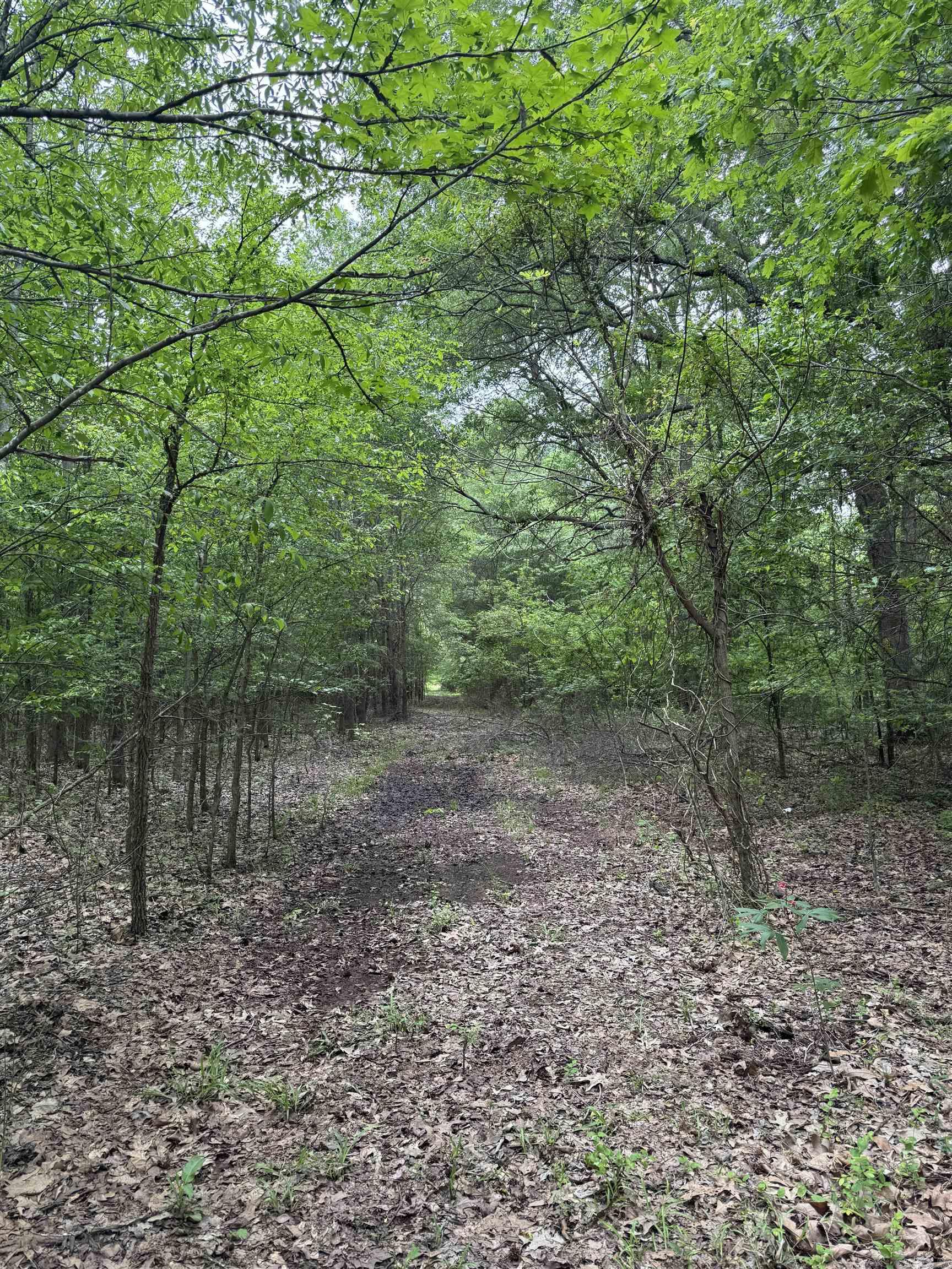 000 HWY 64  Augusta, AR