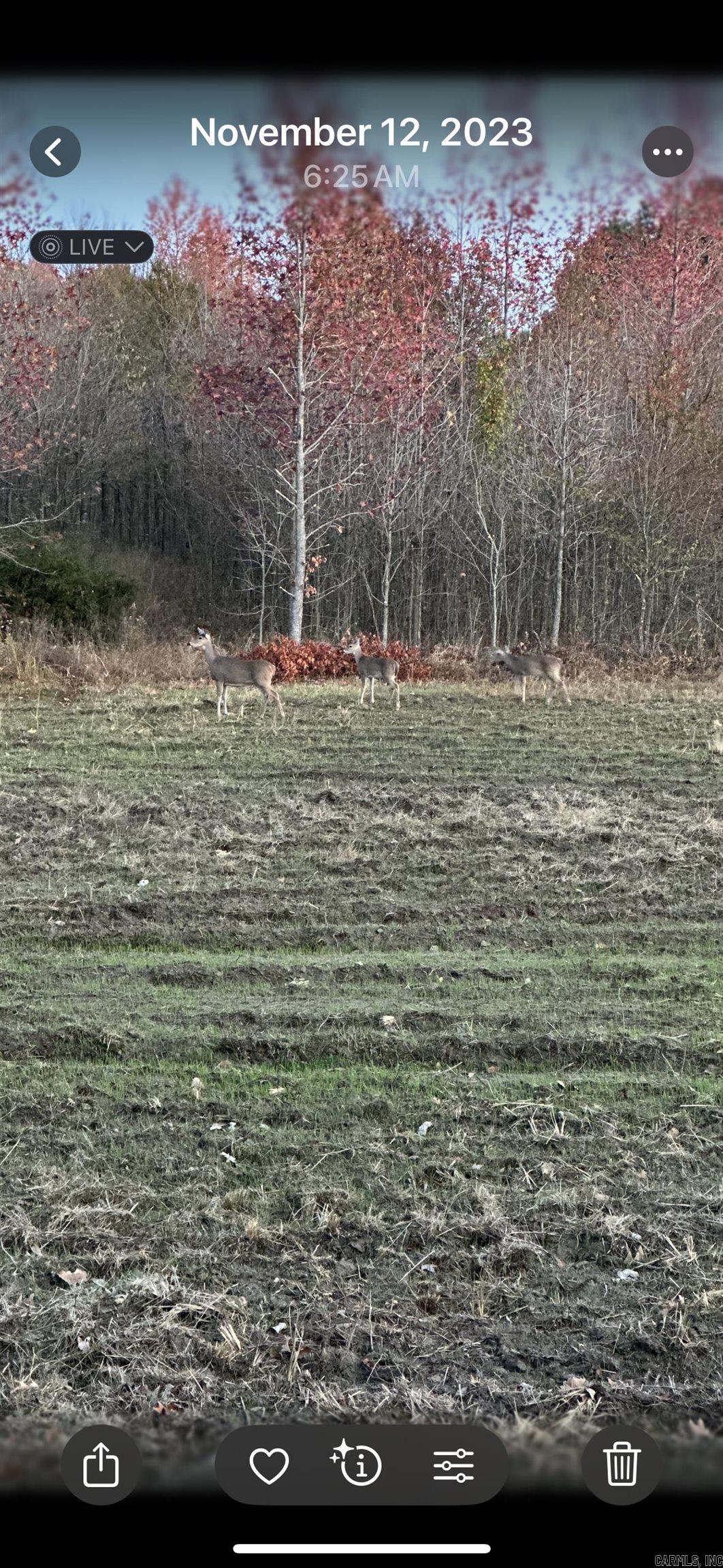 000 HWY 64  Augusta, AR