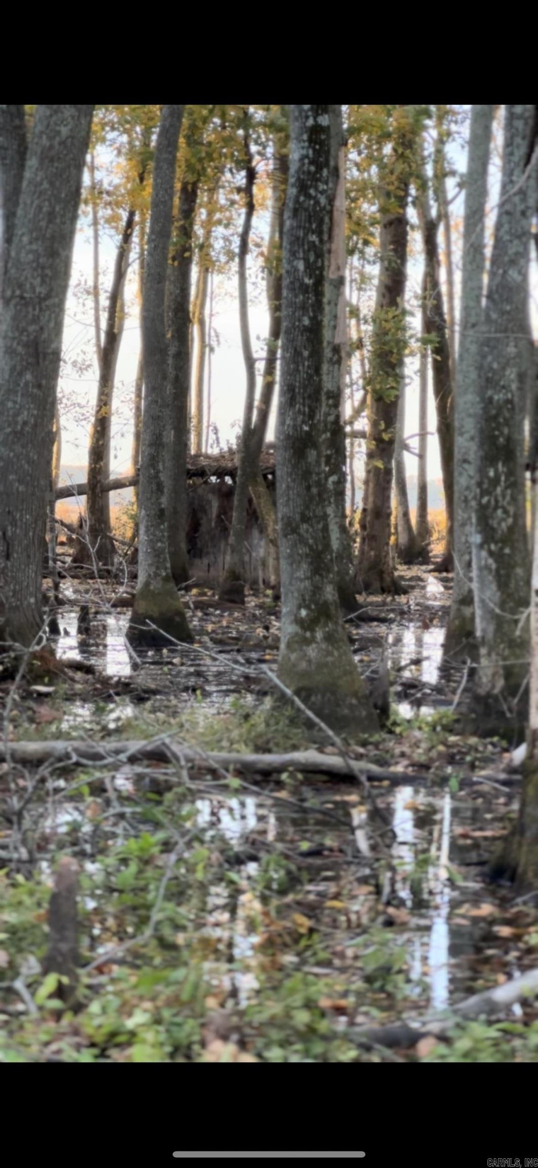 000 HWY 64  Augusta, AR