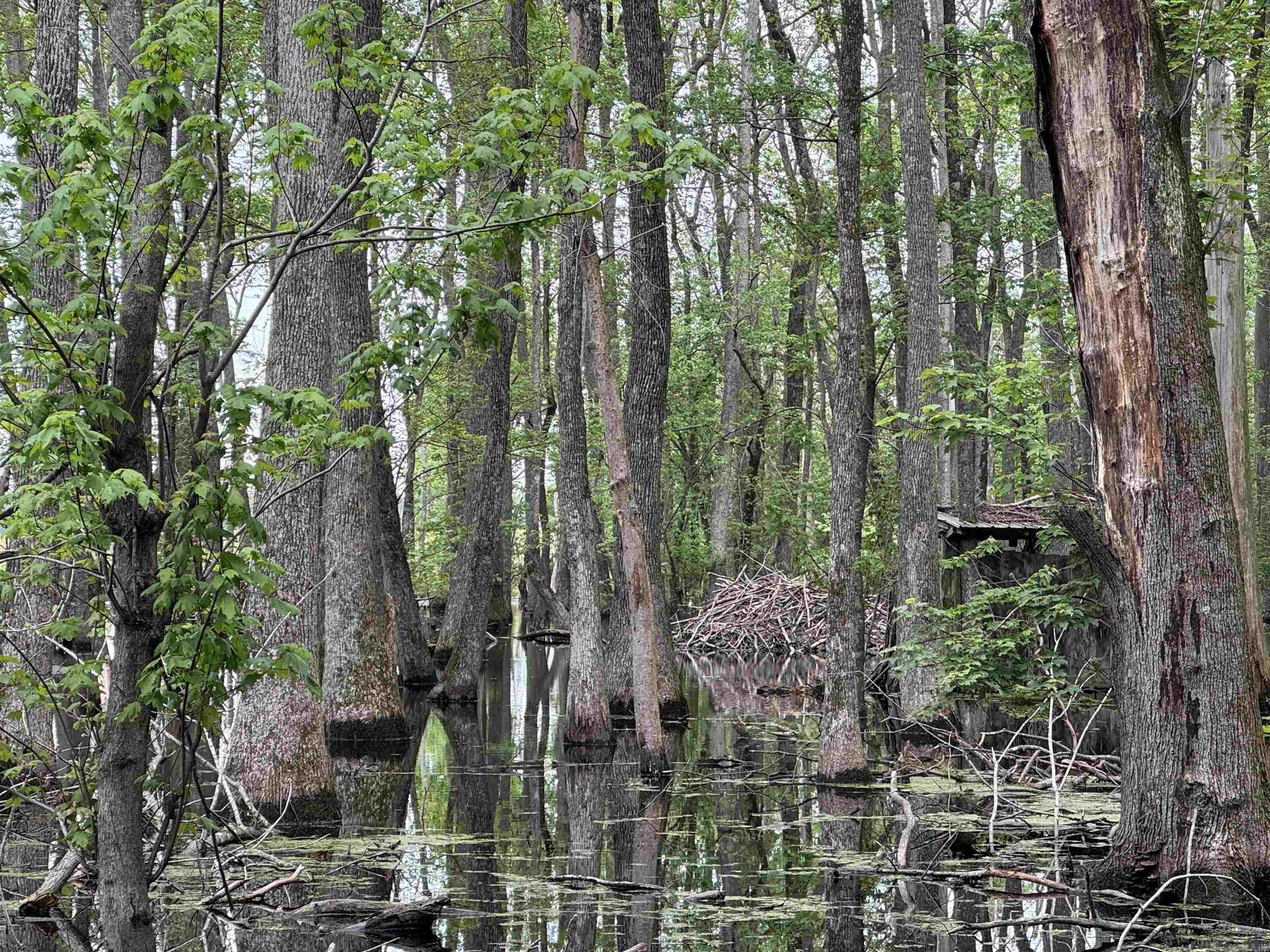 000 HWY 64  Augusta, AR