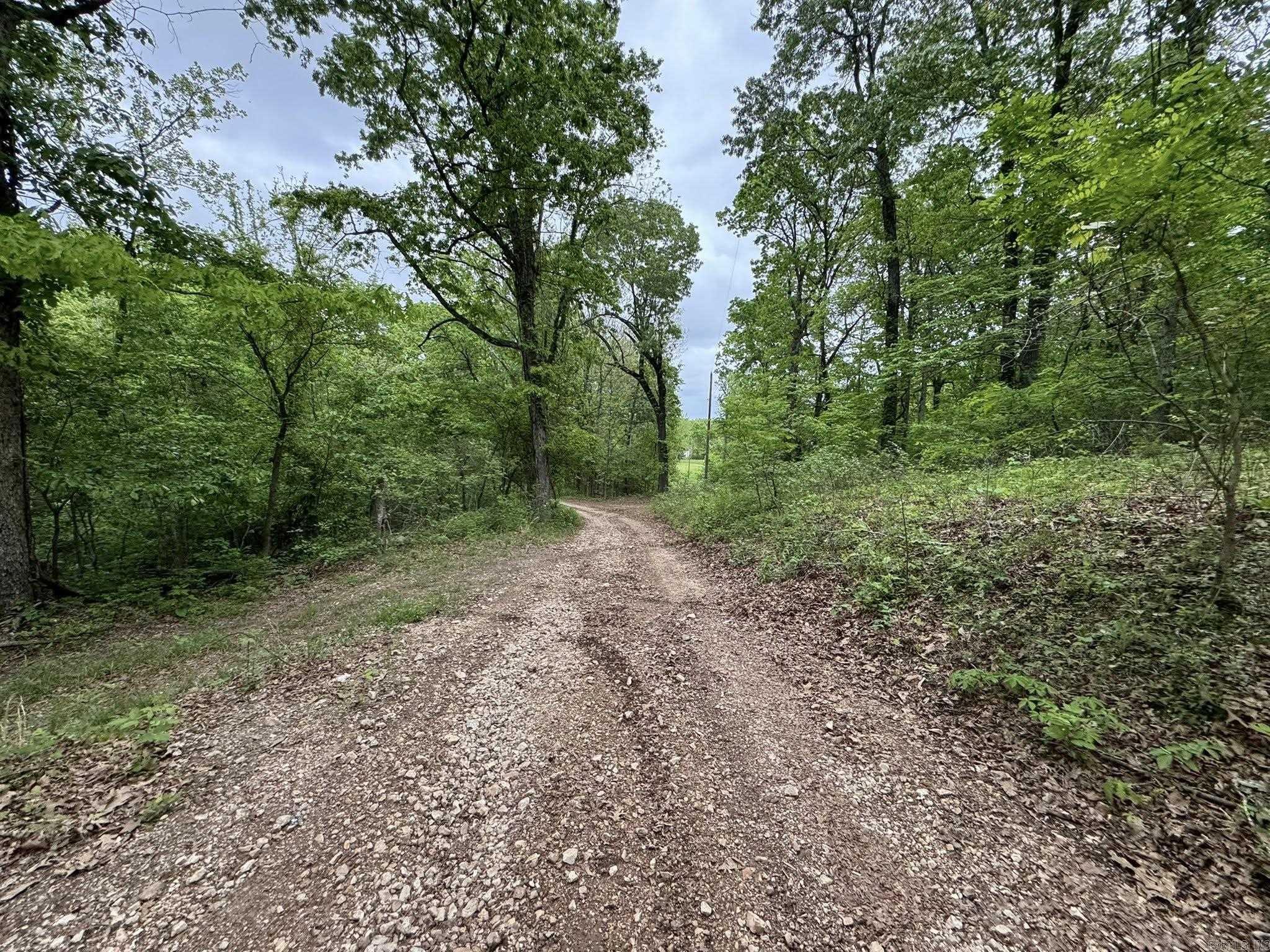 5117 Roasting Ear  Fifty-Six, AR