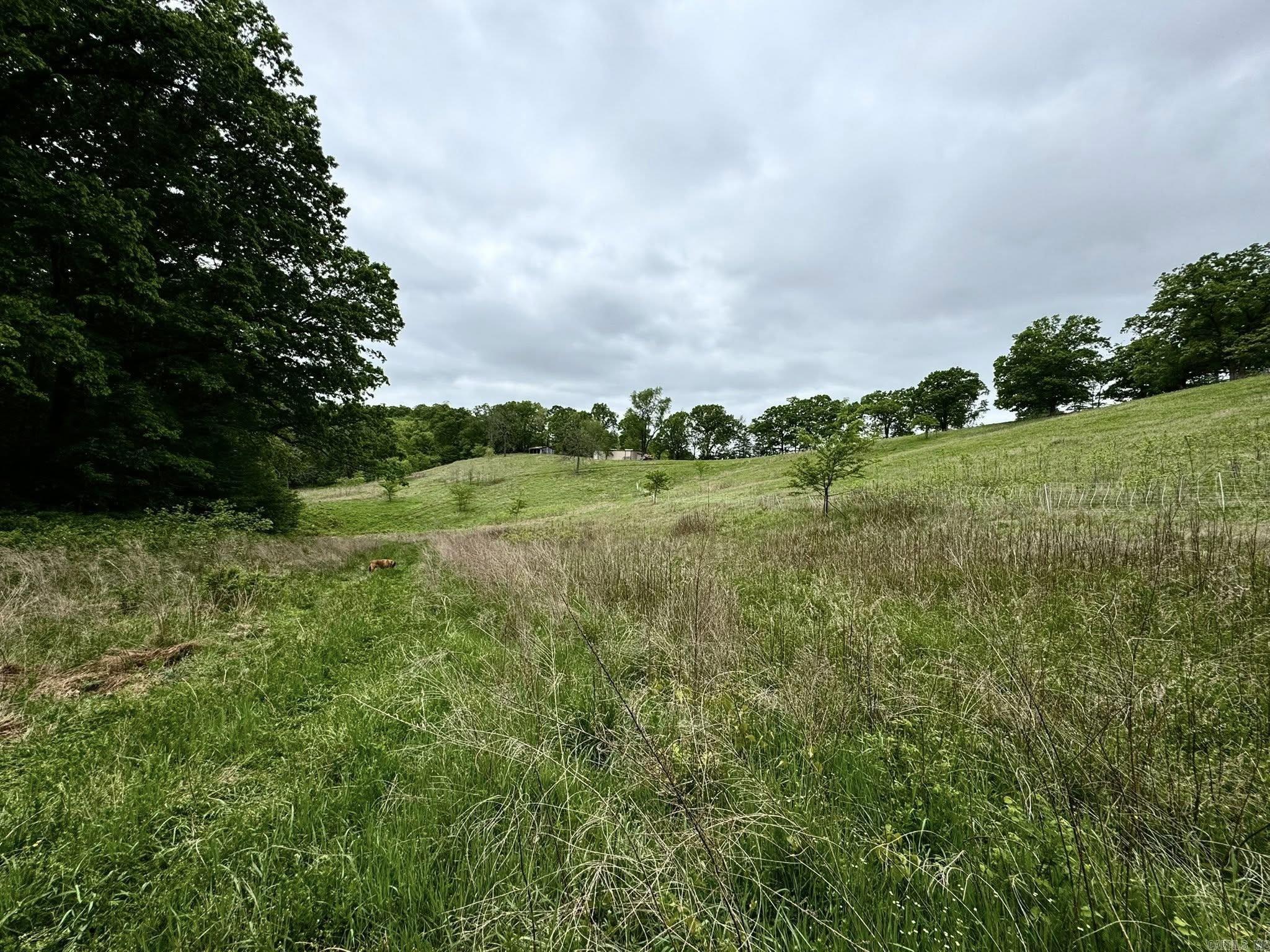 5117 Roasting Ear  Fifty-Six, AR