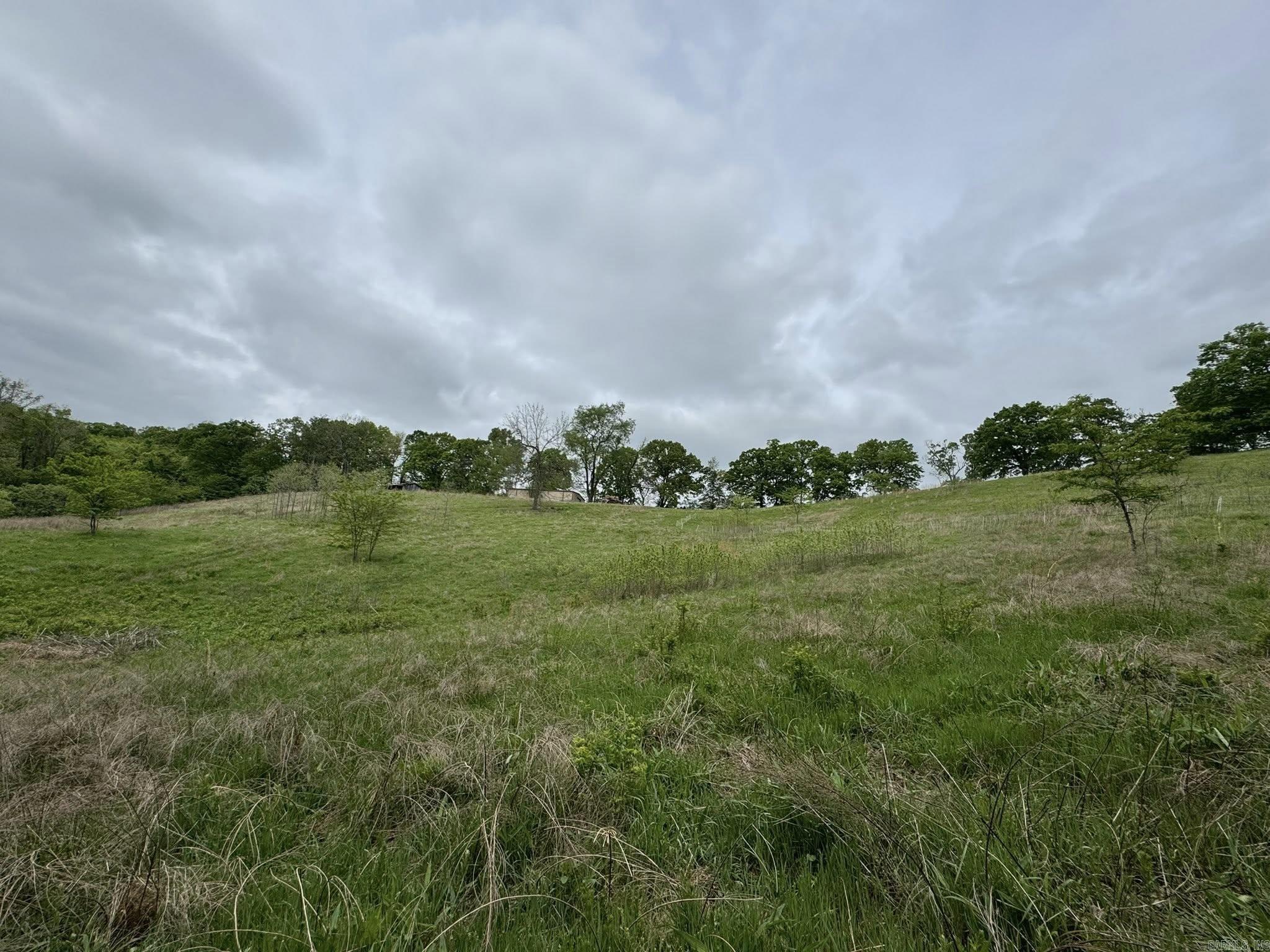 5117 Roasting Ear  Fifty-Six, AR