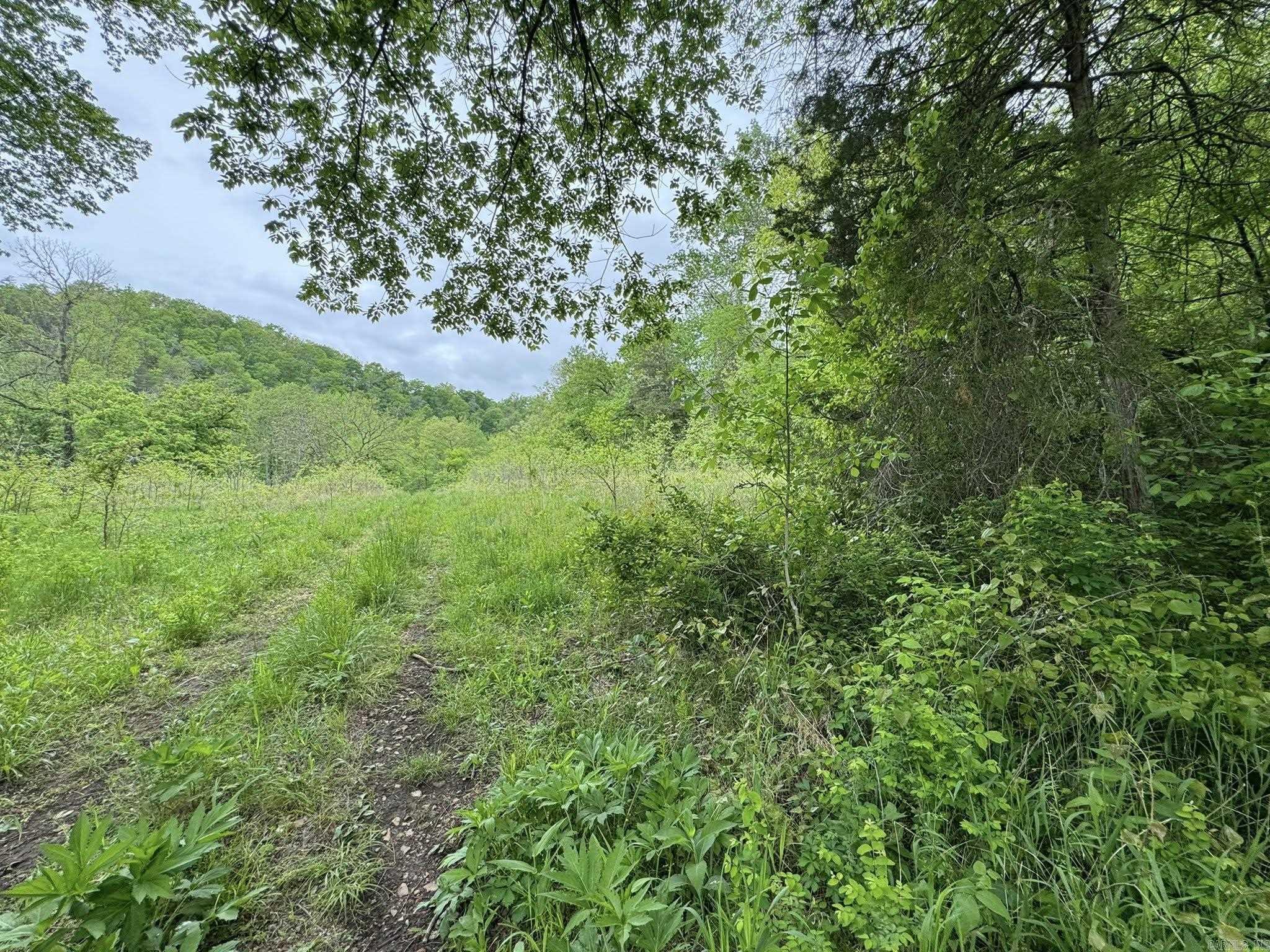 5117 Roasting Ear  Fifty-Six, AR