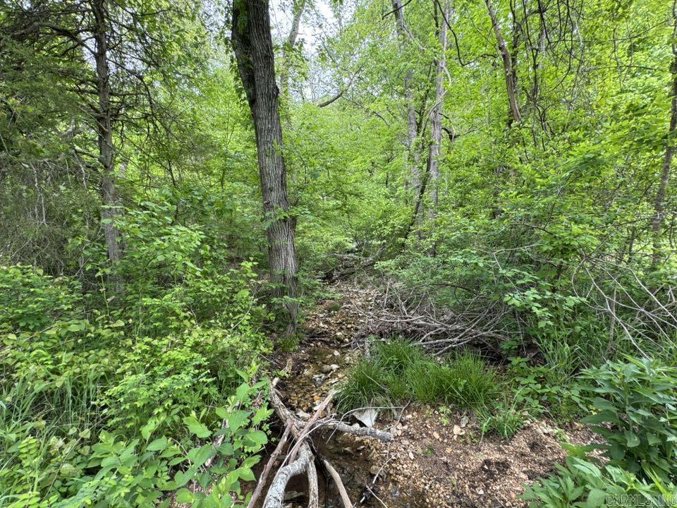 5117 Roasting Ear  Fifty-Six, AR