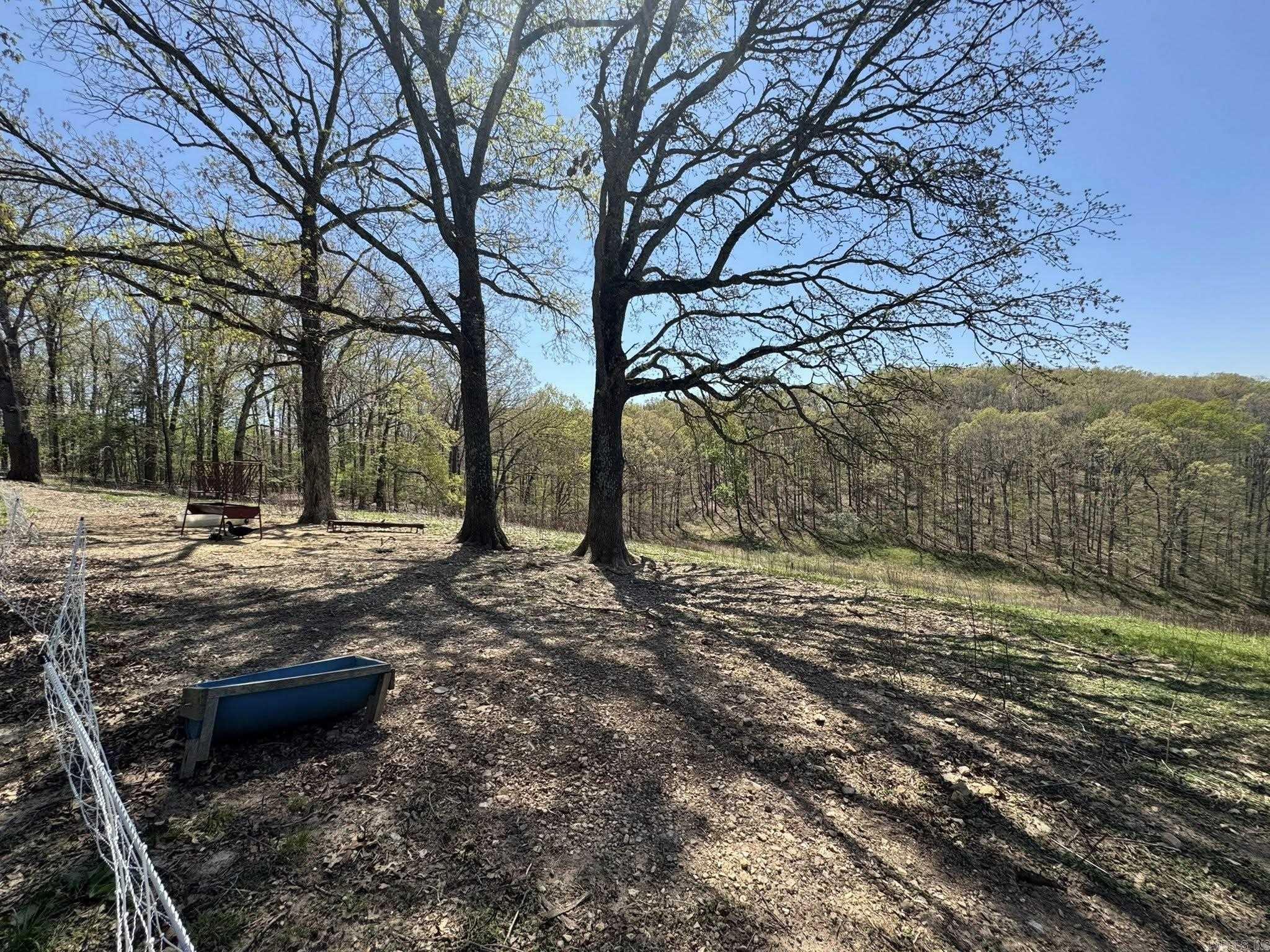 5117 Roasting Ear  Fifty-Six, AR