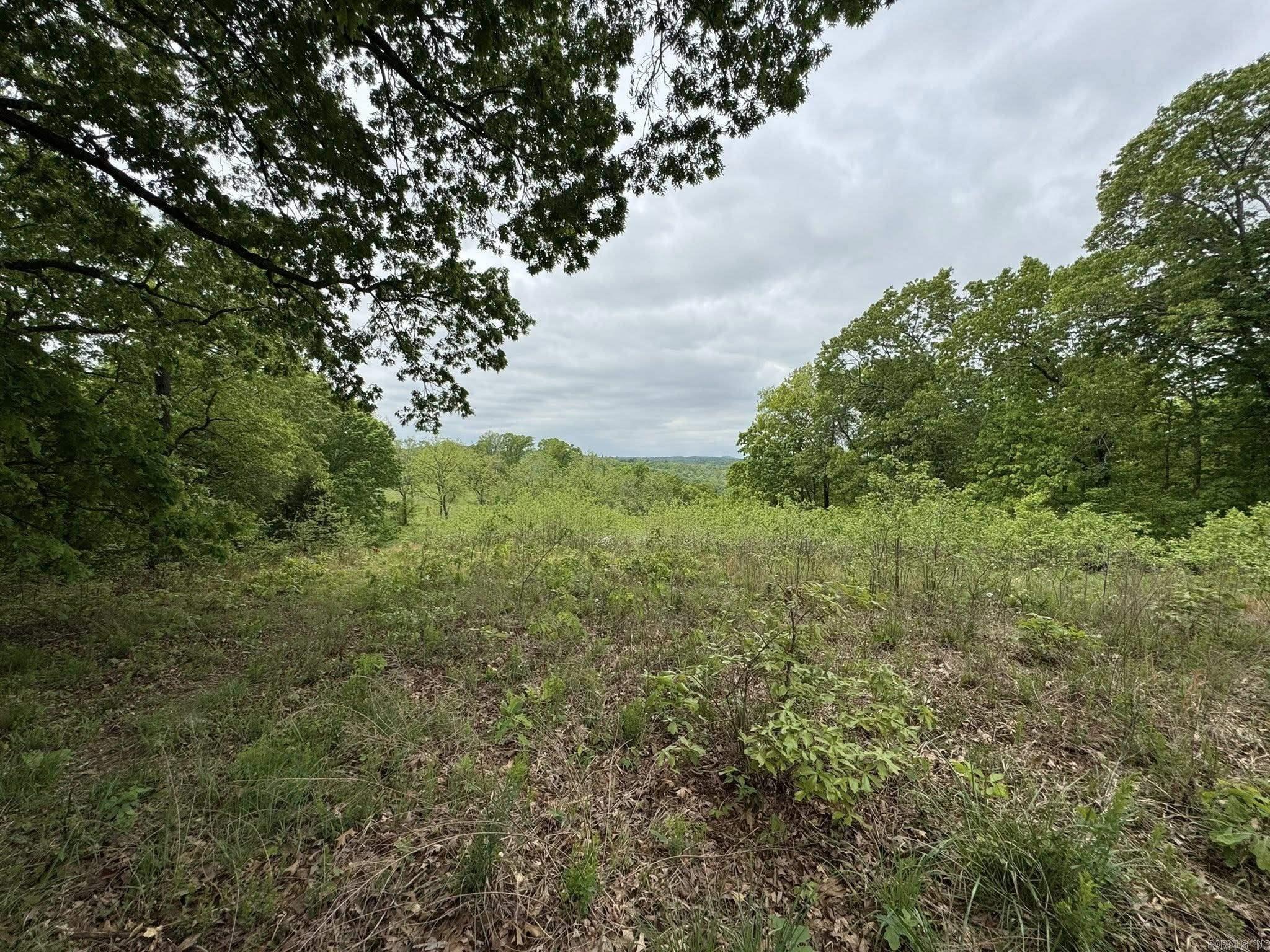 5117 Roasting Ear  Fifty-Six, AR