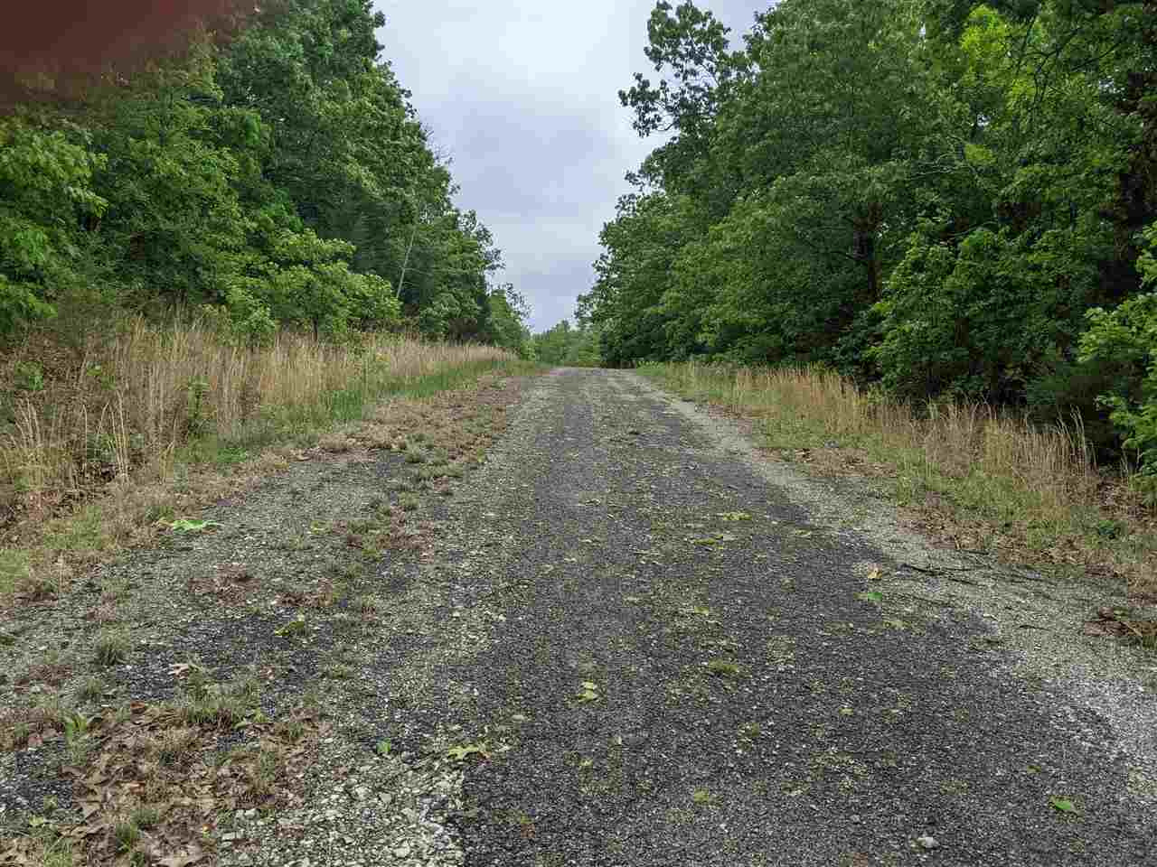 803 S Springfield  Horseshoe Bend, AR