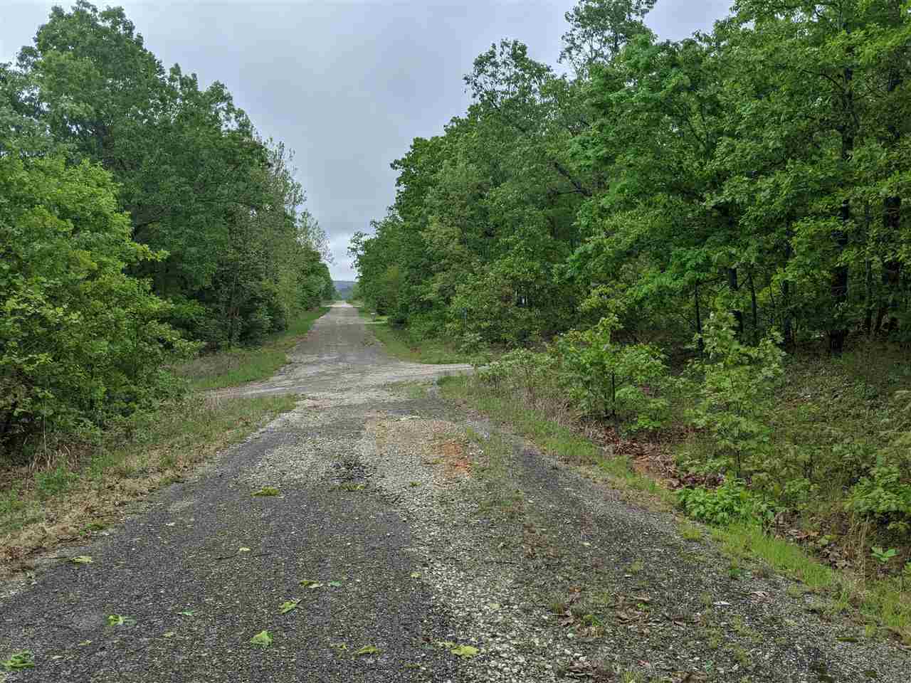 803 S Springfield  Horseshoe Bend, AR