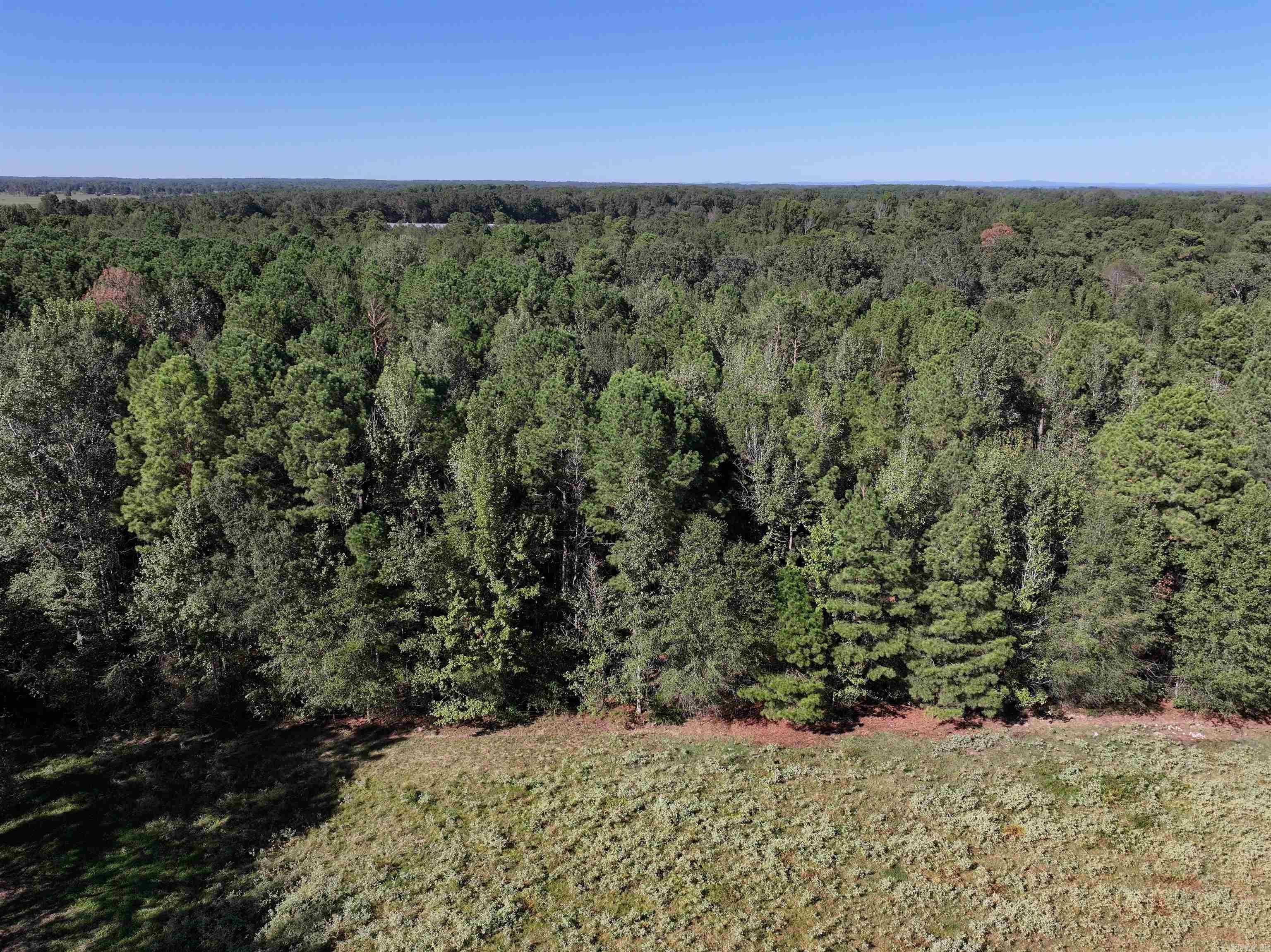 XXX Central  Horatio, AR