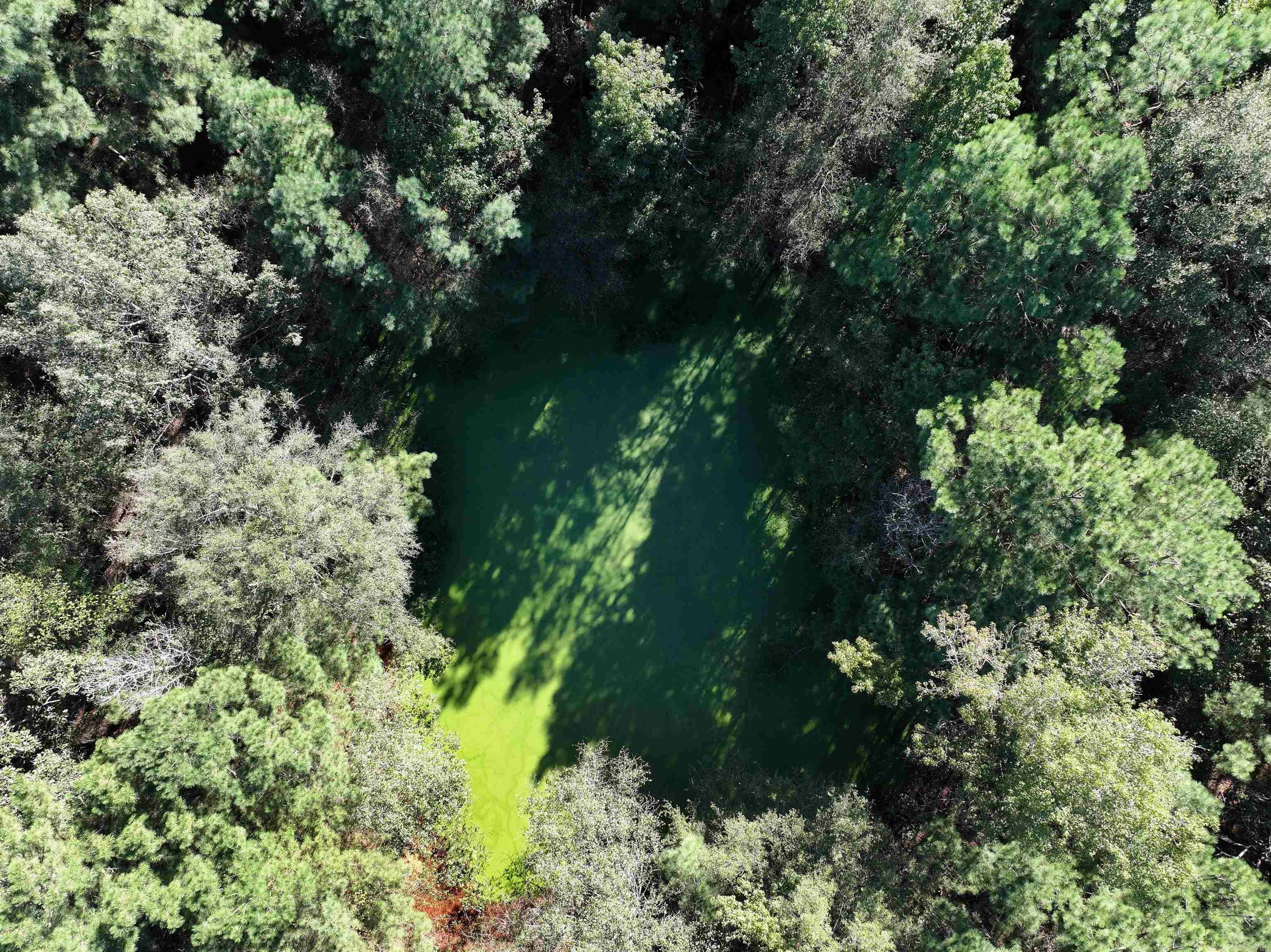 XXX Central  Horatio, AR