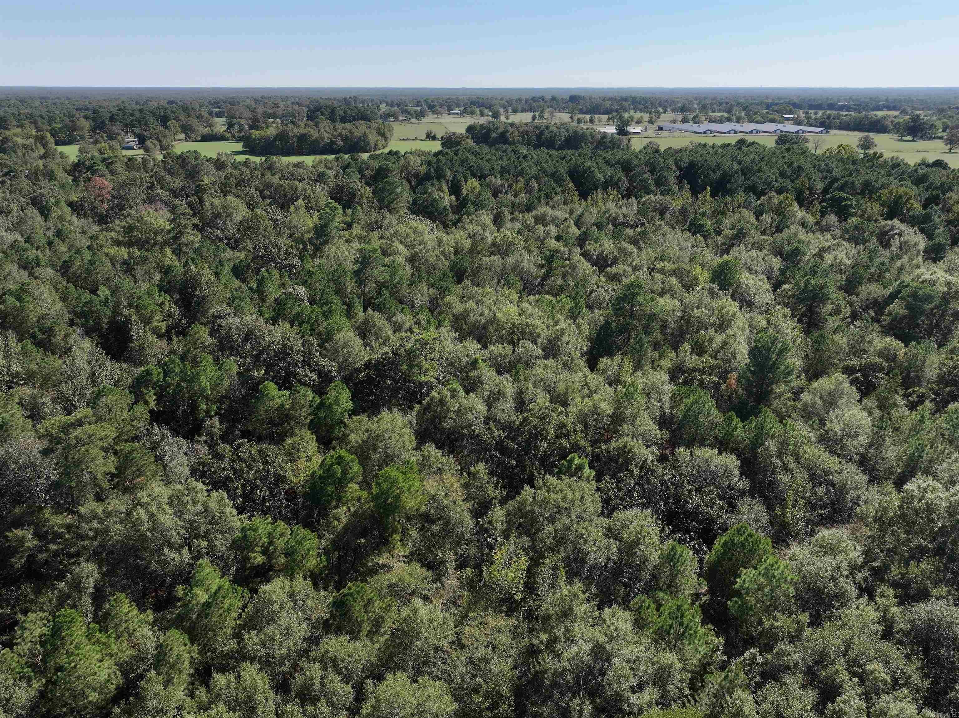 XXX Central  Horatio, AR