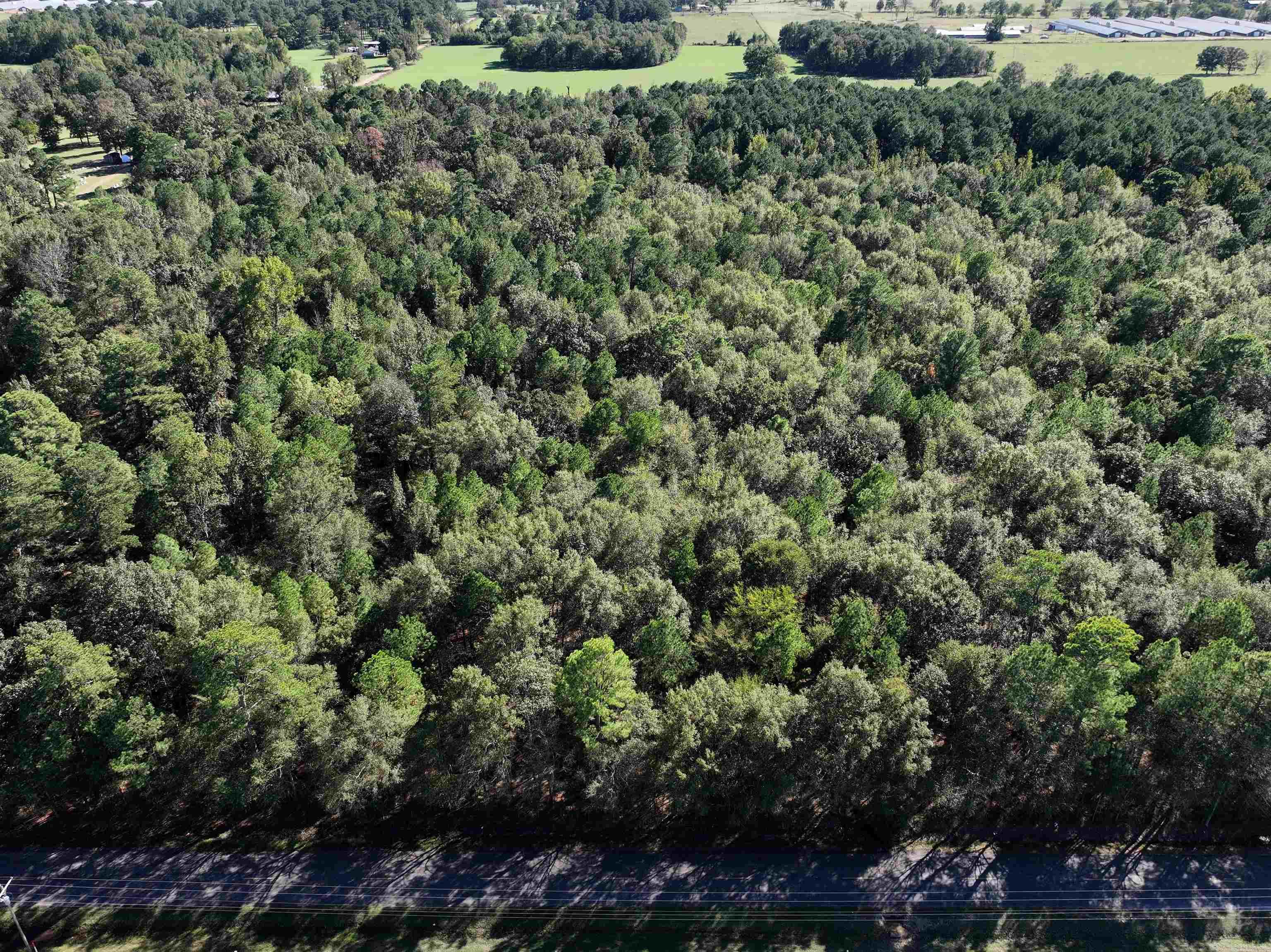 XXX Central  Horatio, AR