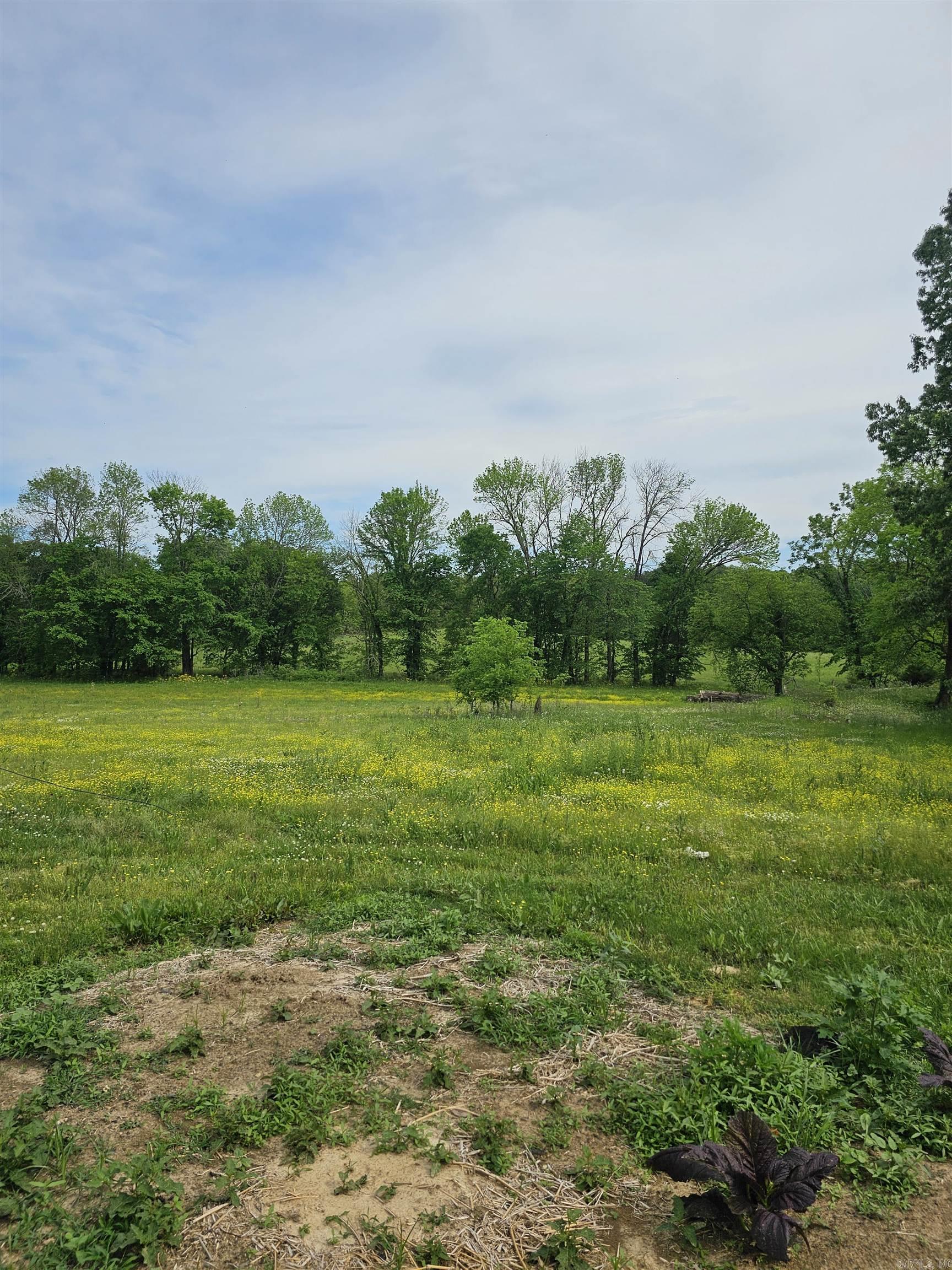 161 Funderburg  Mineral Sprs., AR