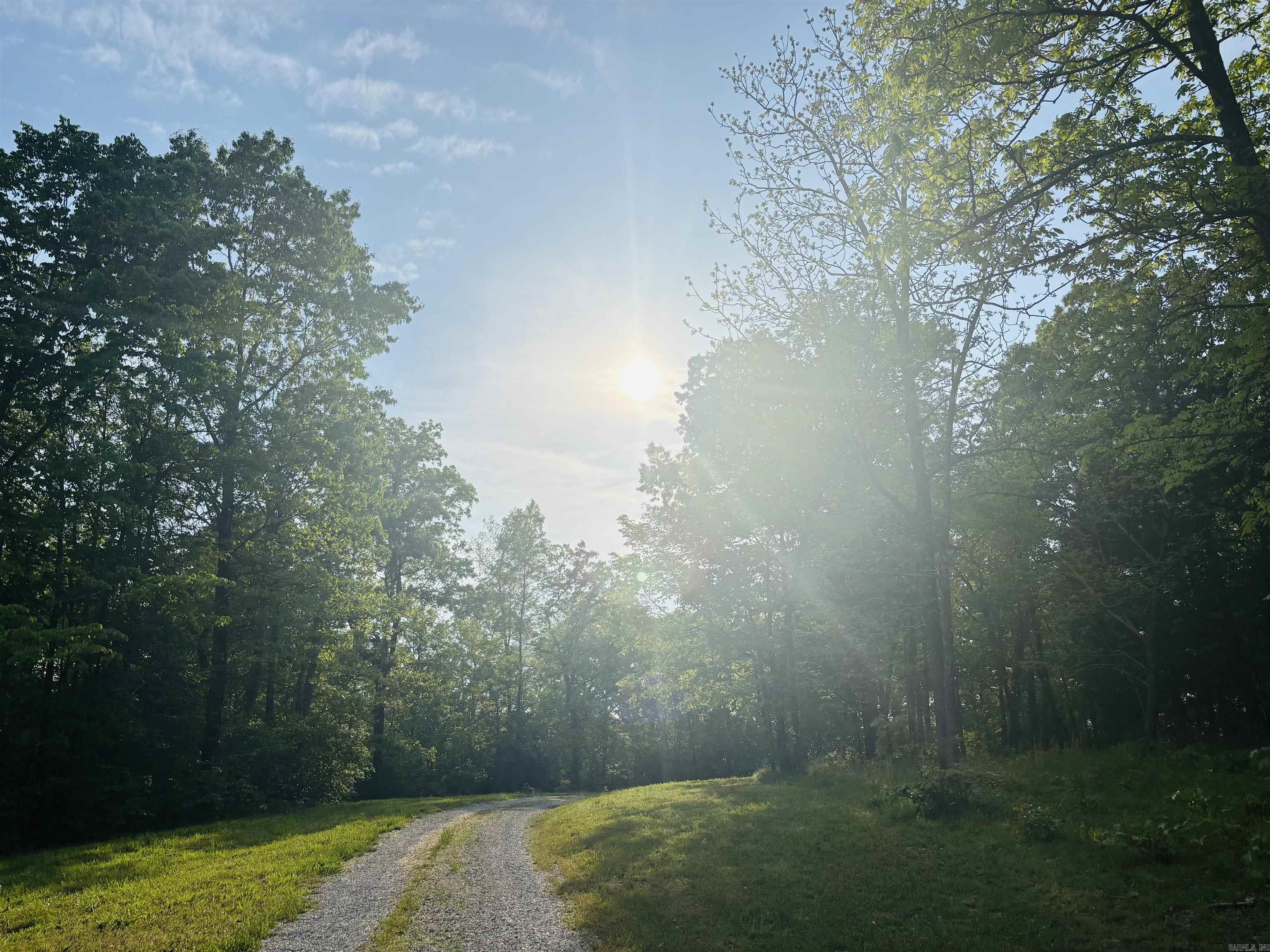 108 Georgia  Mountain View, AR