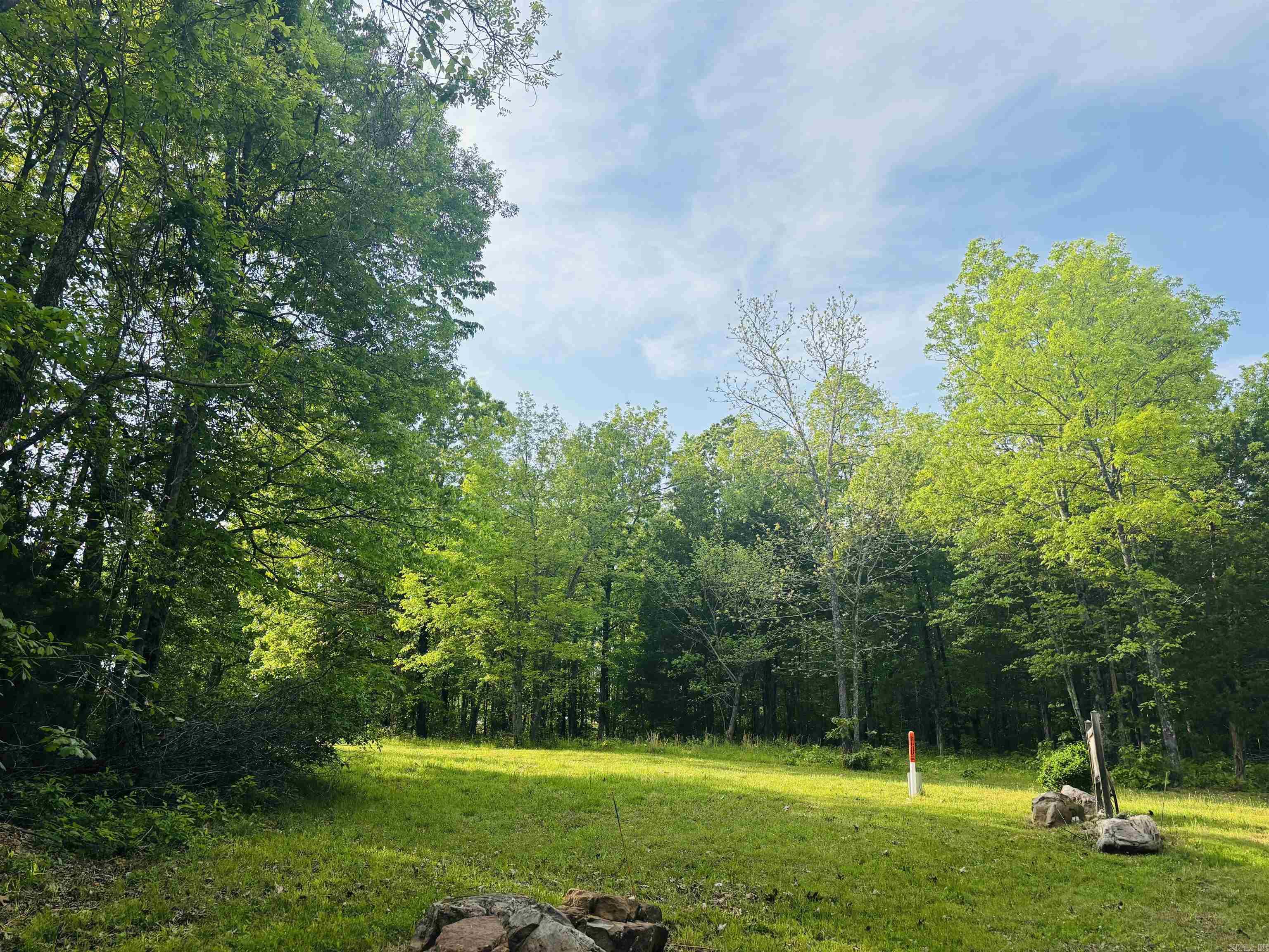 108 Georgia  Mountain View, AR