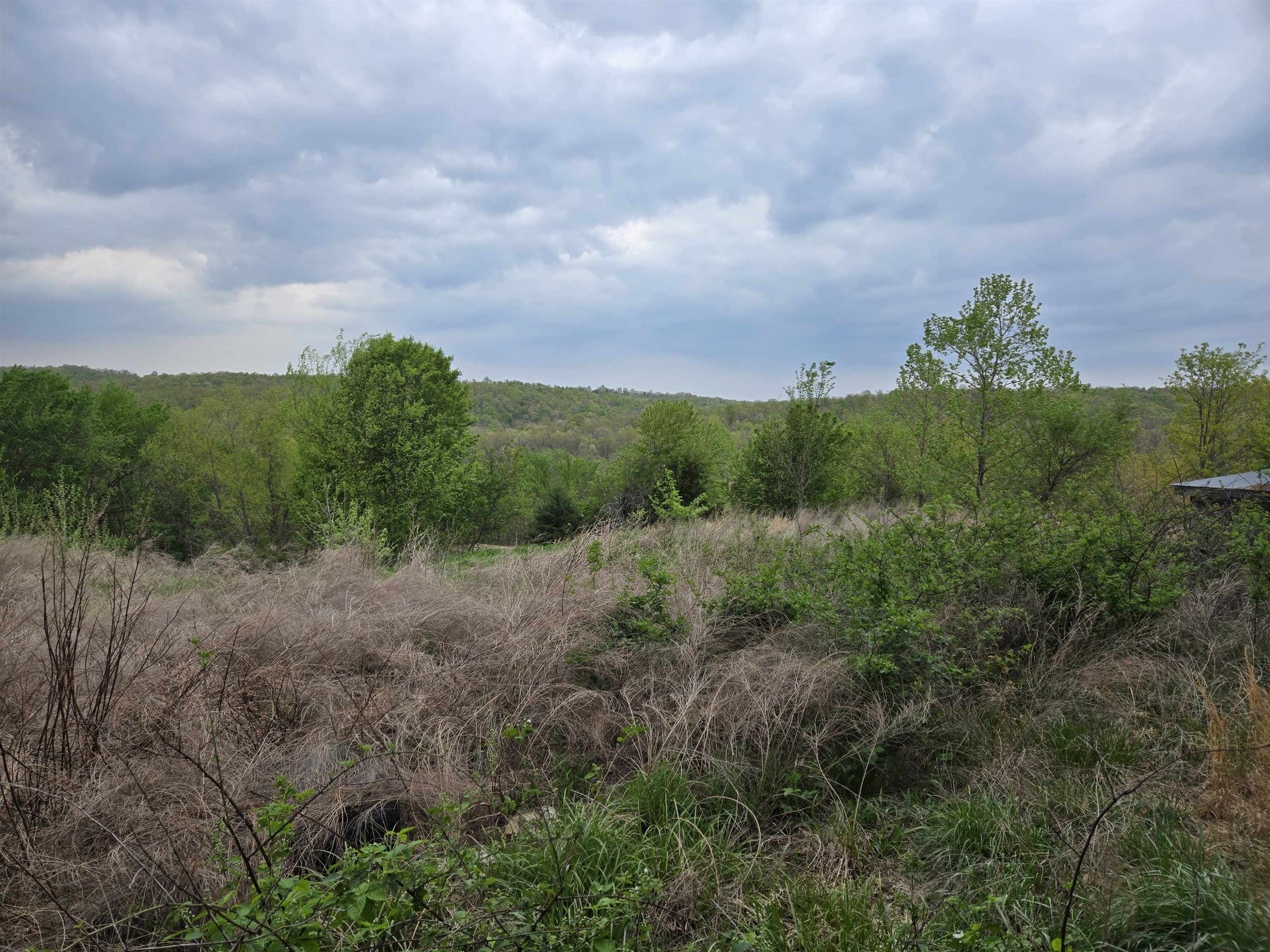  Moonlight  Mammoth Spring, AR