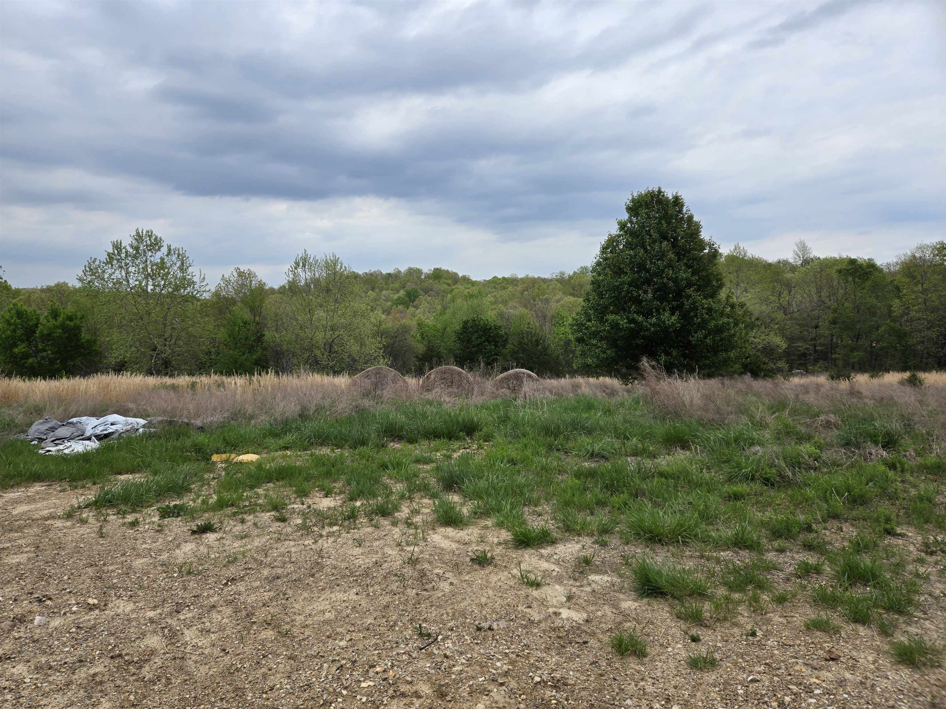  Moonlight  Mammoth Spring, AR