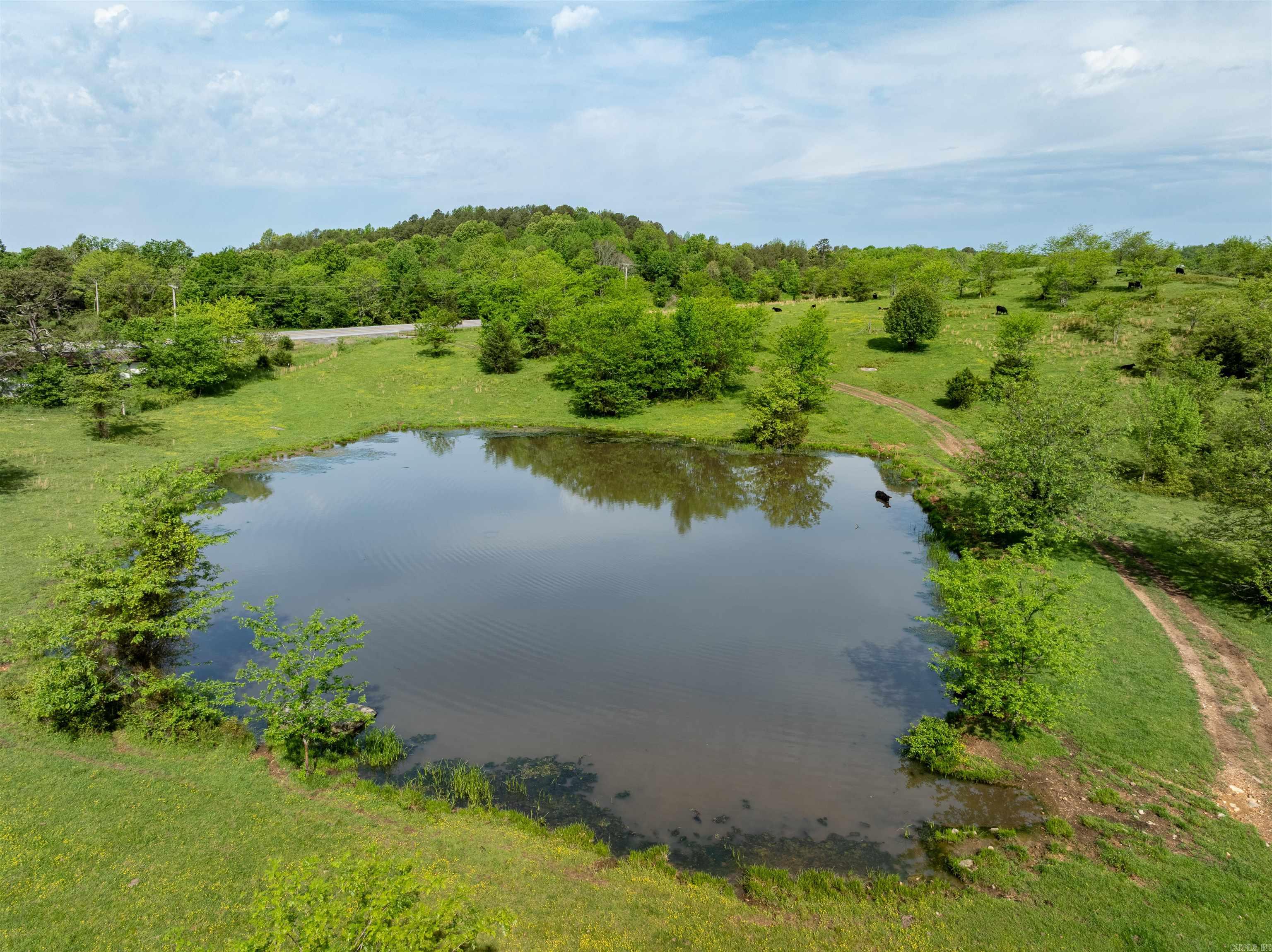 3009 N Main  Mount Pleasant, AR