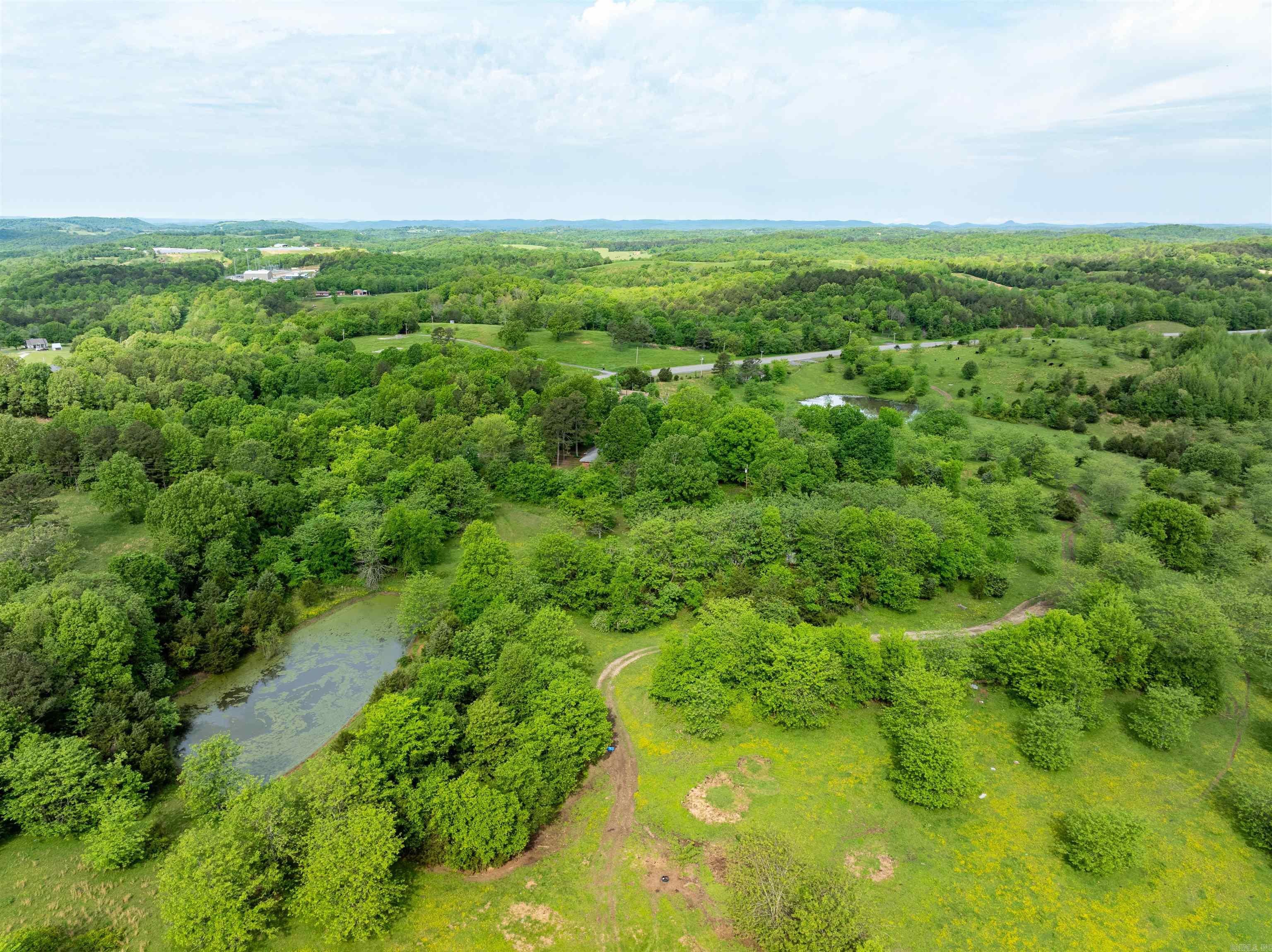 3009 N Main  Mount Pleasant, AR