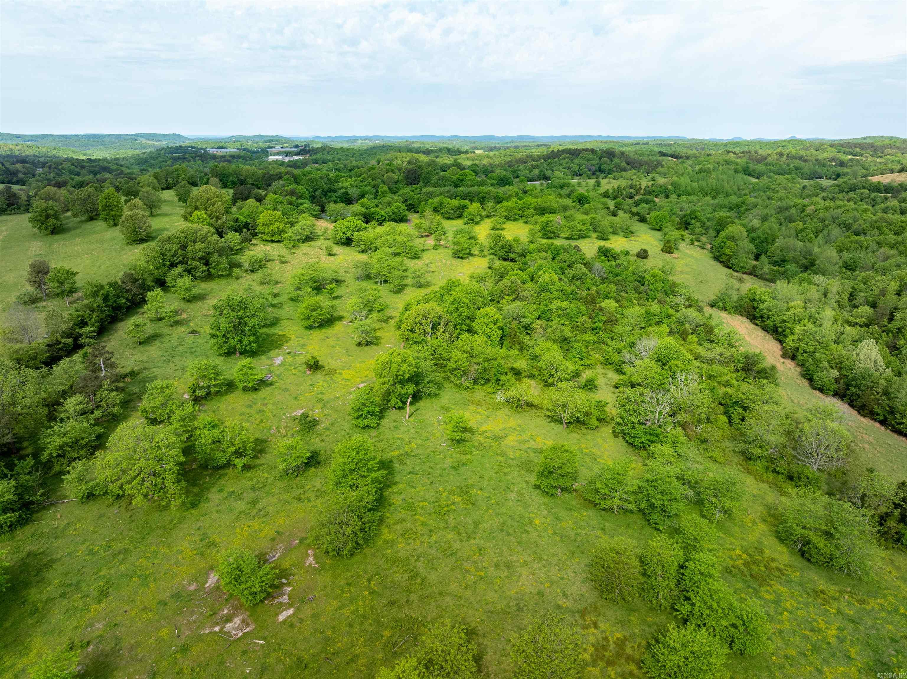 3009 N Main  Mount Pleasant, AR