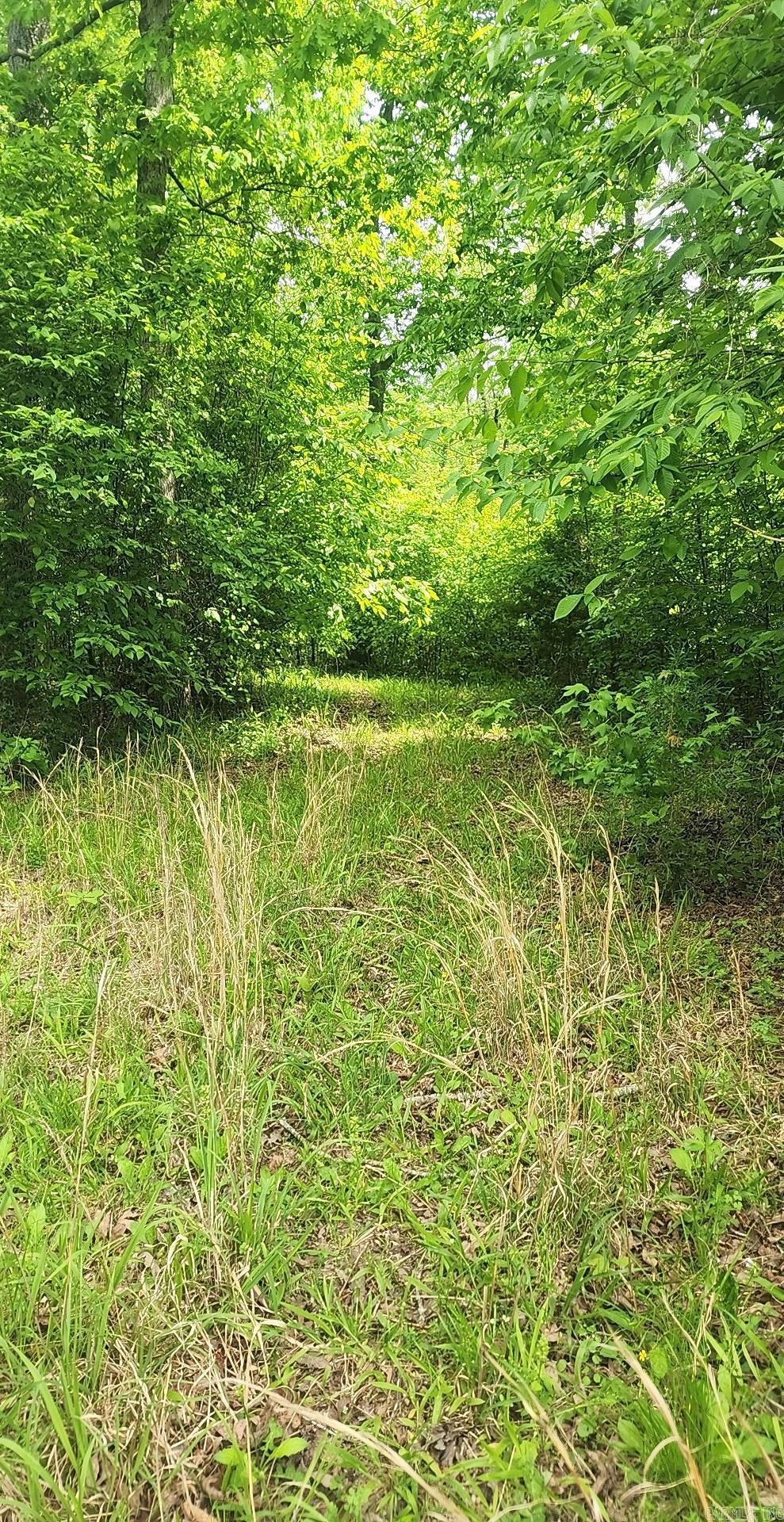 Tract 1 Kulp Road  Boles, AR