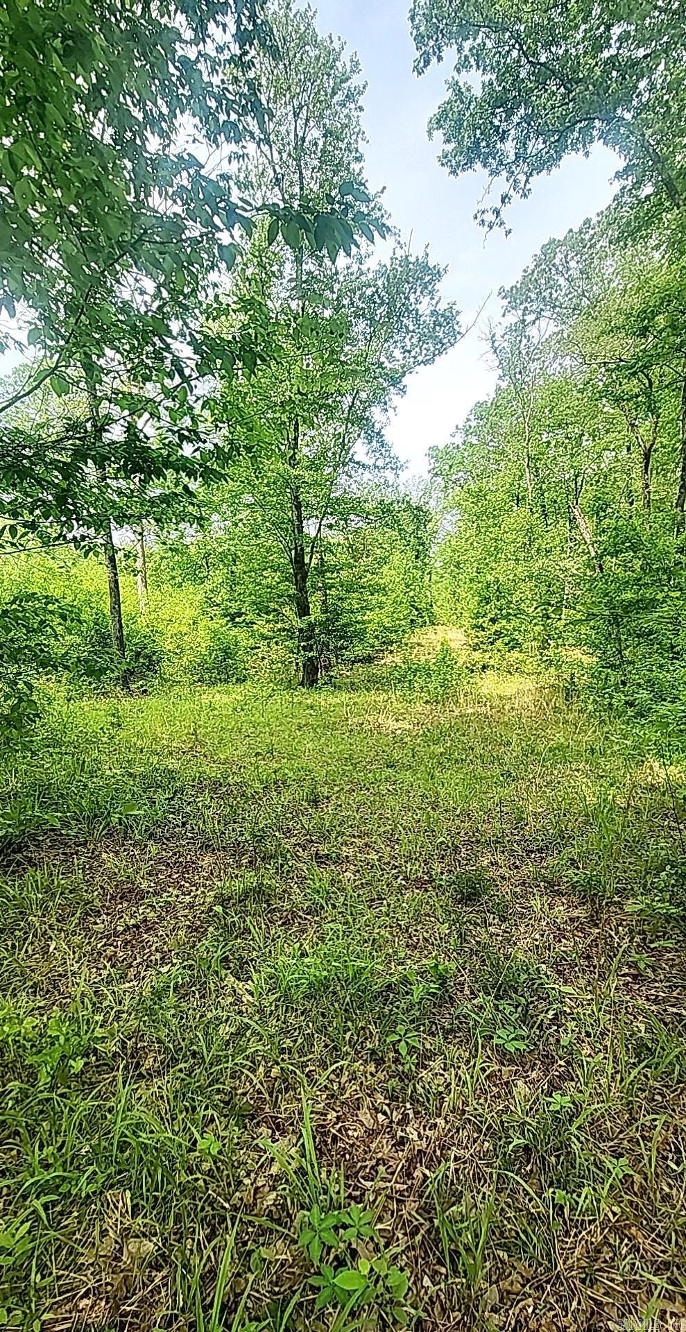 Tract 1 Kulp Road  Boles, AR