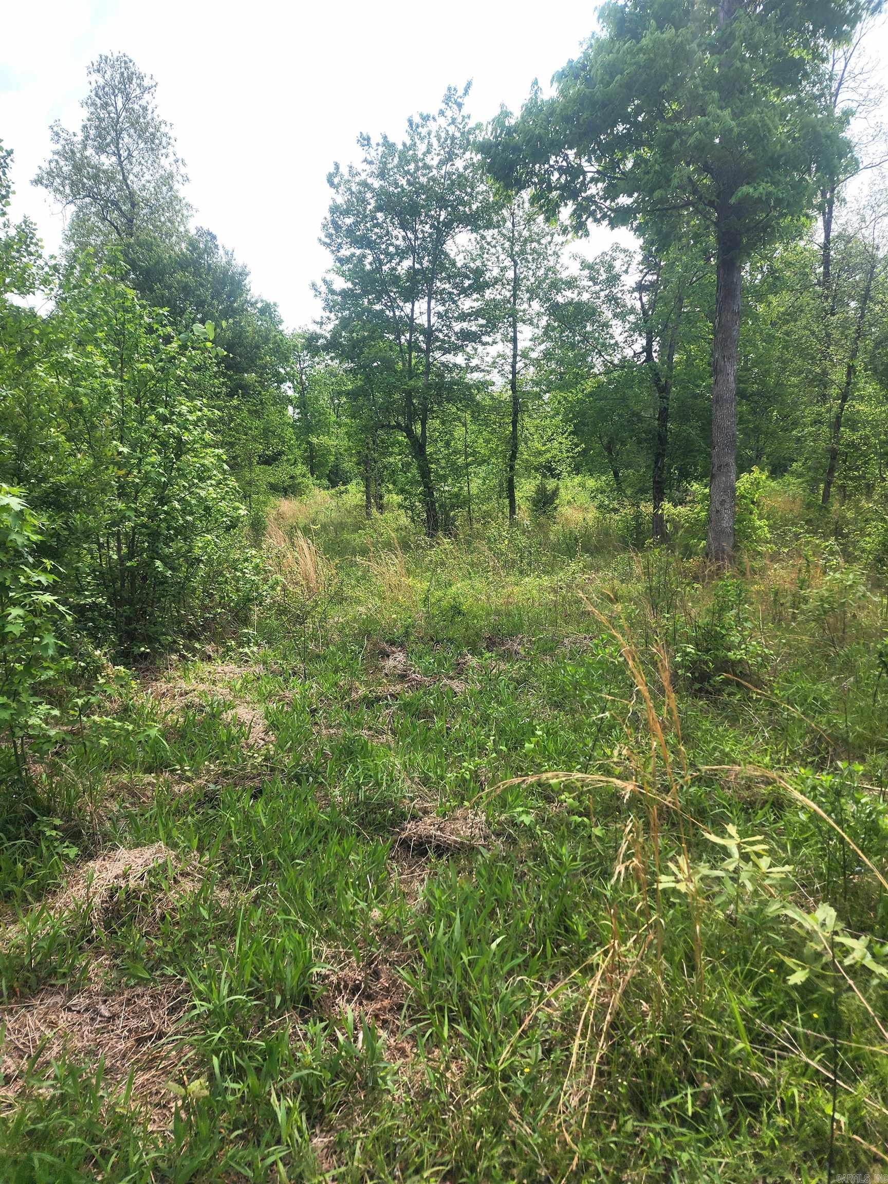 Tract 1 Kulp Road  Boles, AR