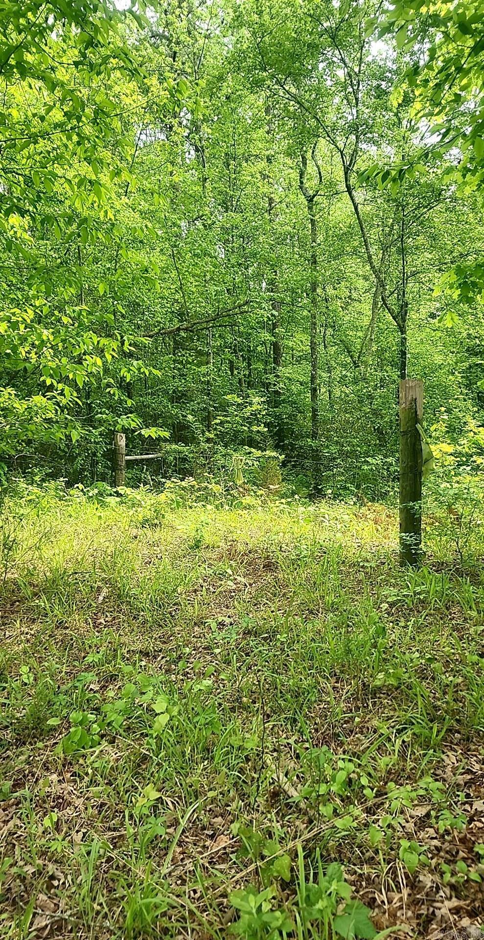 Tract 1 Kulp Road  Boles, AR