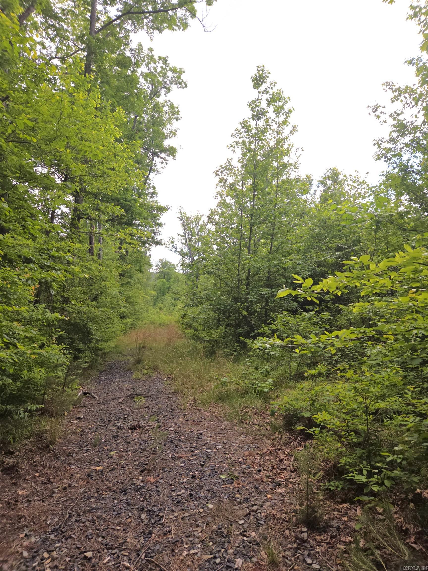 Tract 1 Kulp Road  Boles, AR