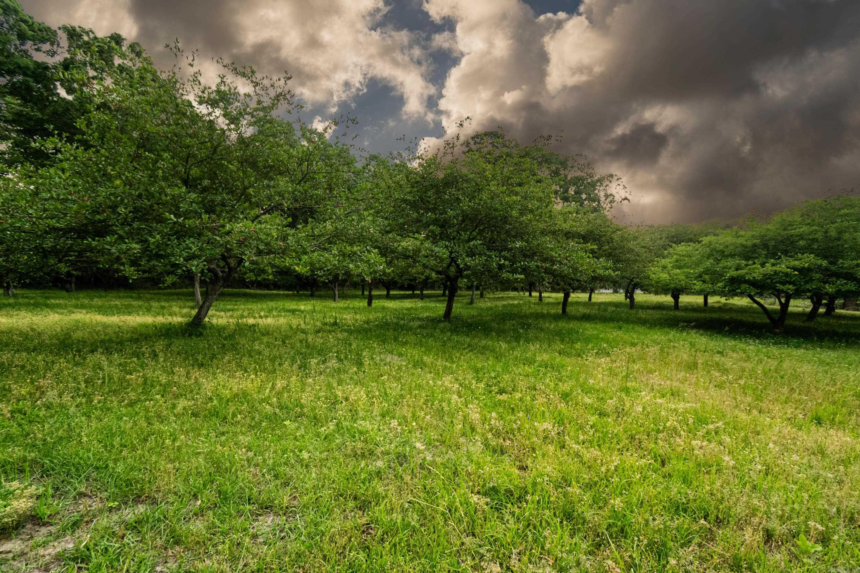 267 Nick Springs Rd  El Dorado, AR